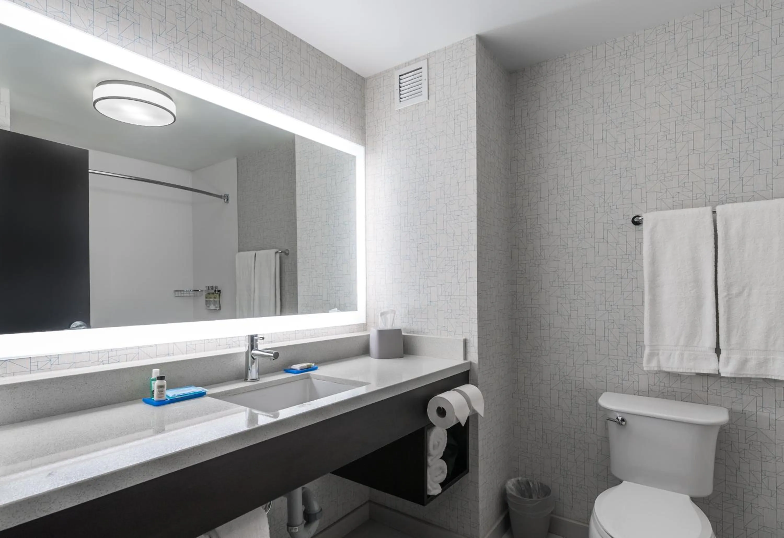 Bathroom in Holiday Inn Express & Suites Kelowna - East by IHG