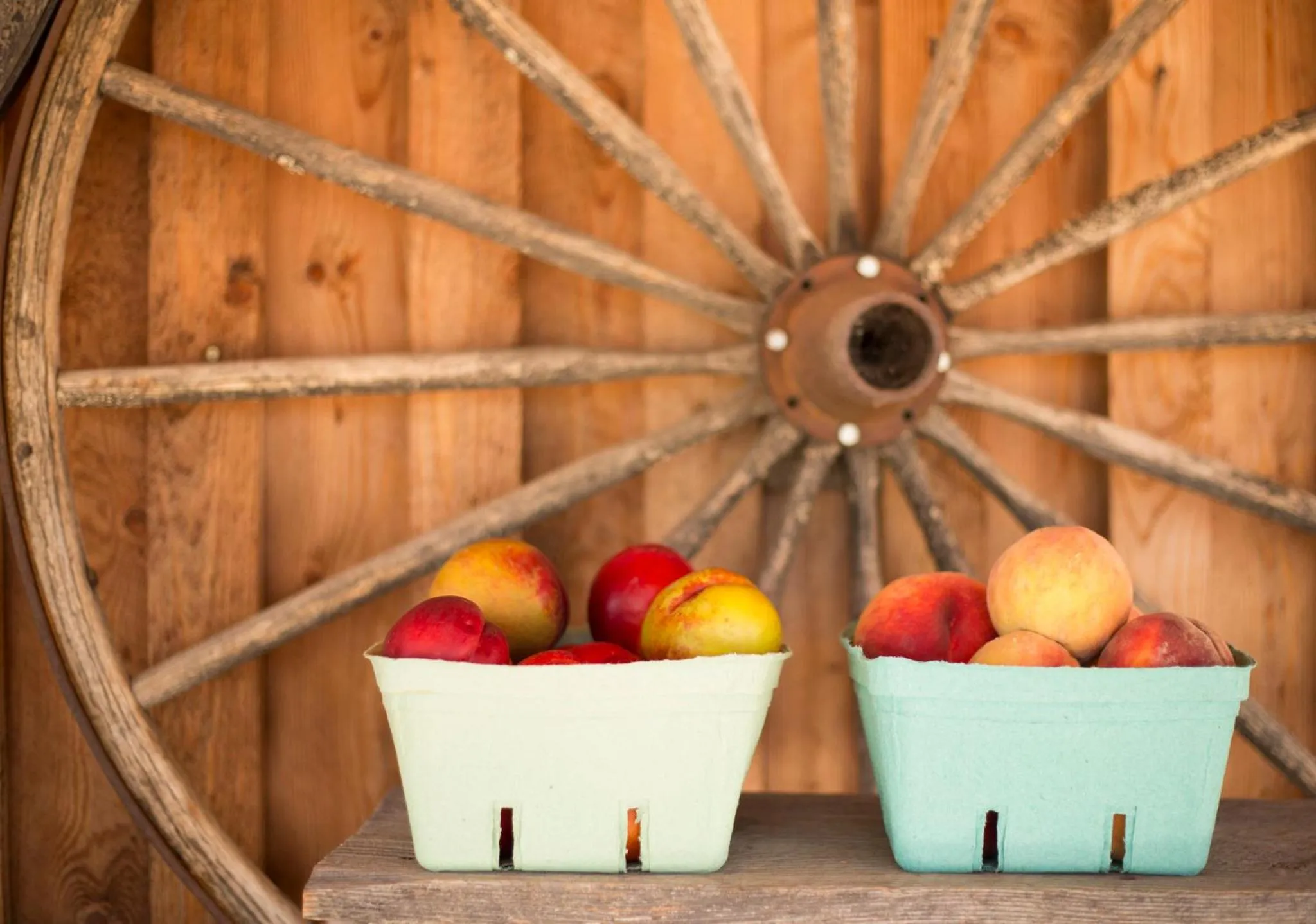 Nearby landmark in Holiday Inn Express & Suites Kelowna - East by IHG