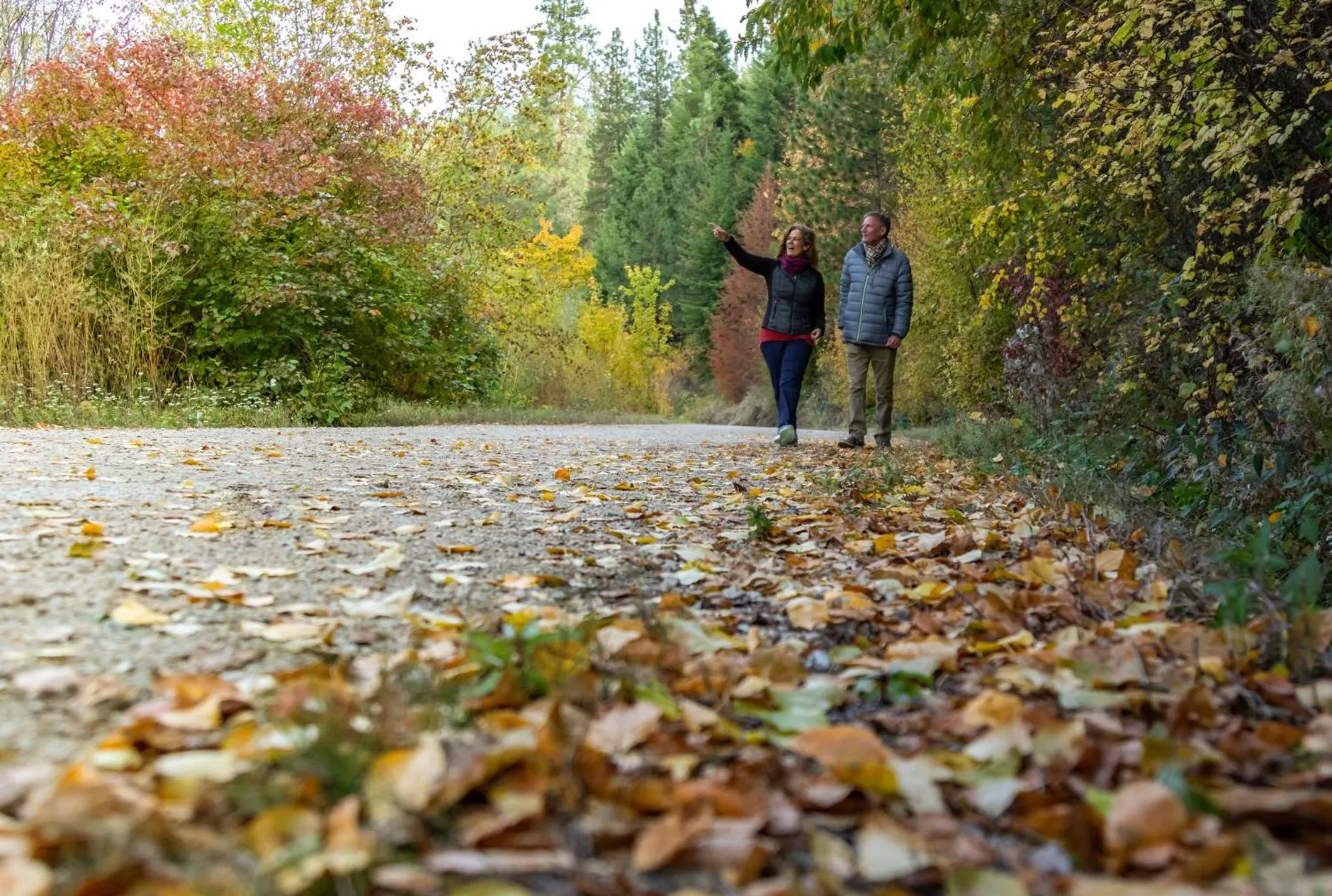 Nearby landmark in Holiday Inn Express & Suites Kelowna - East by IHG