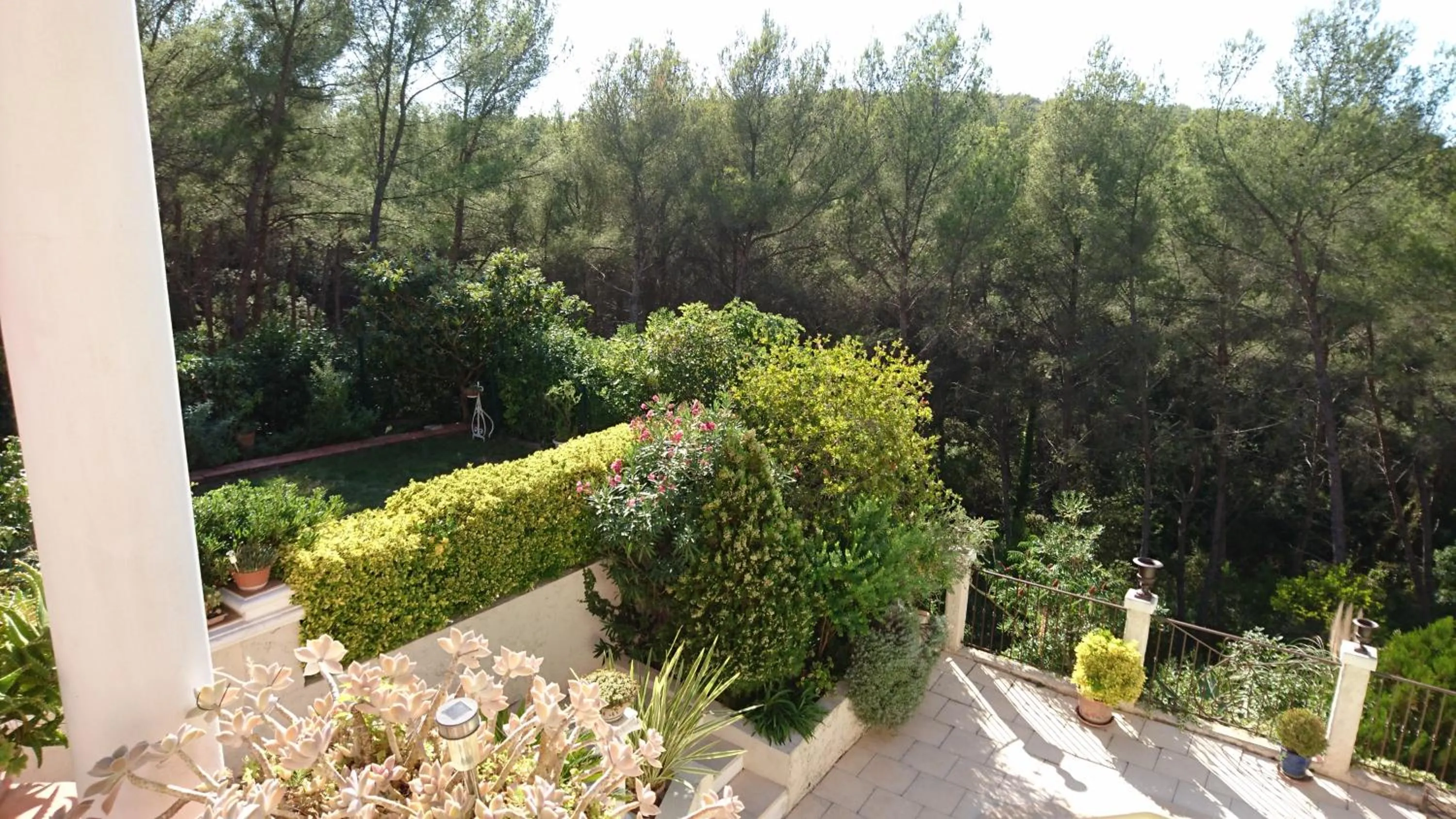 Natural landscape in La Florentine