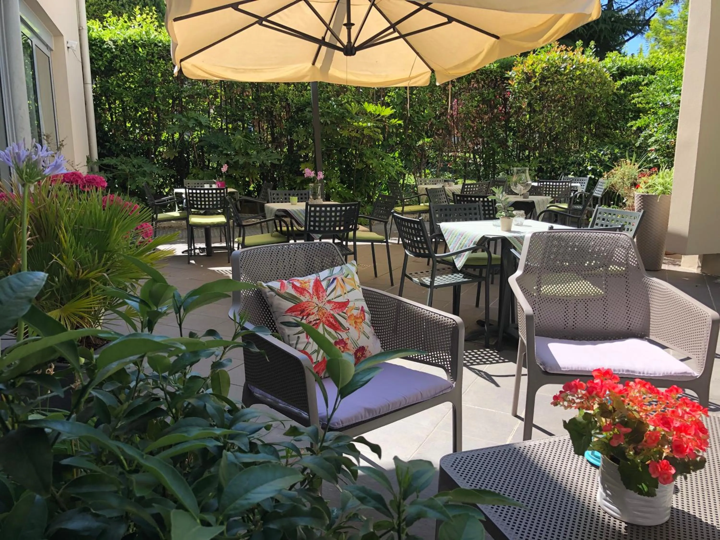 Garden in Hotel Alfieri