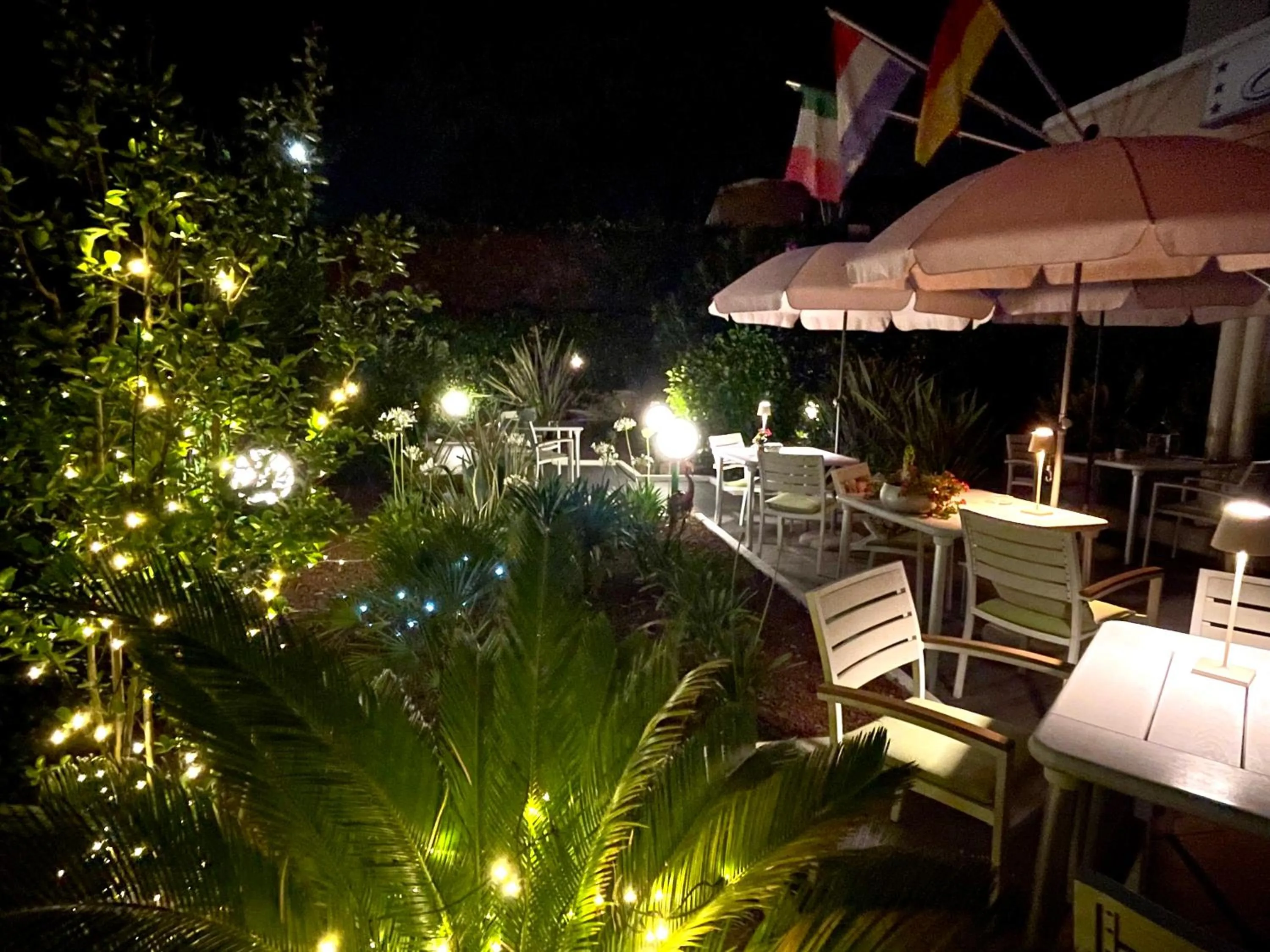 Garden in Hotel Alfieri