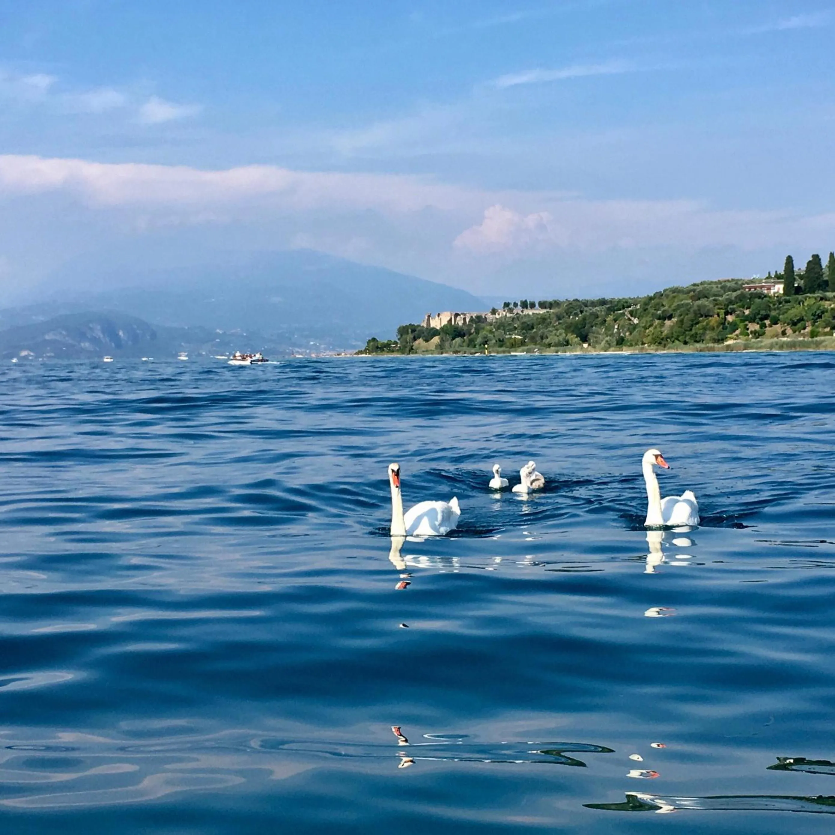 Lake view in Hotel Alfieri
