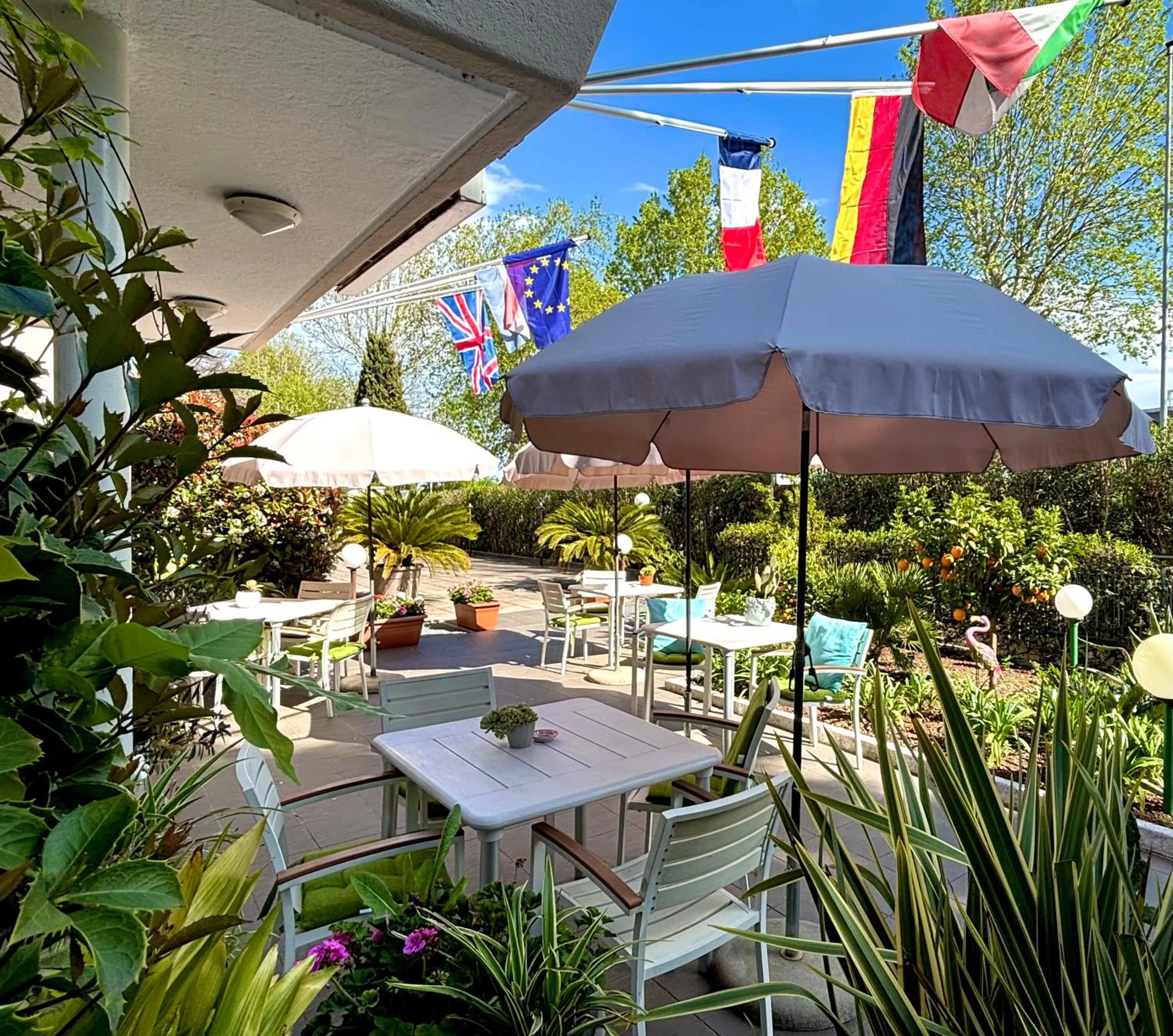 Garden in Hotel Alfieri