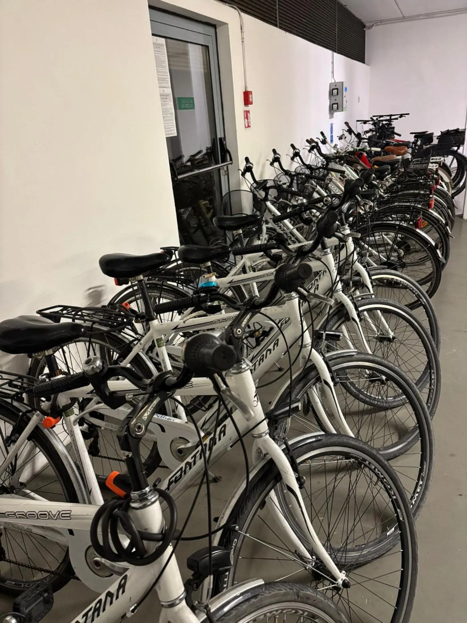 Garden in Hotel Alfieri