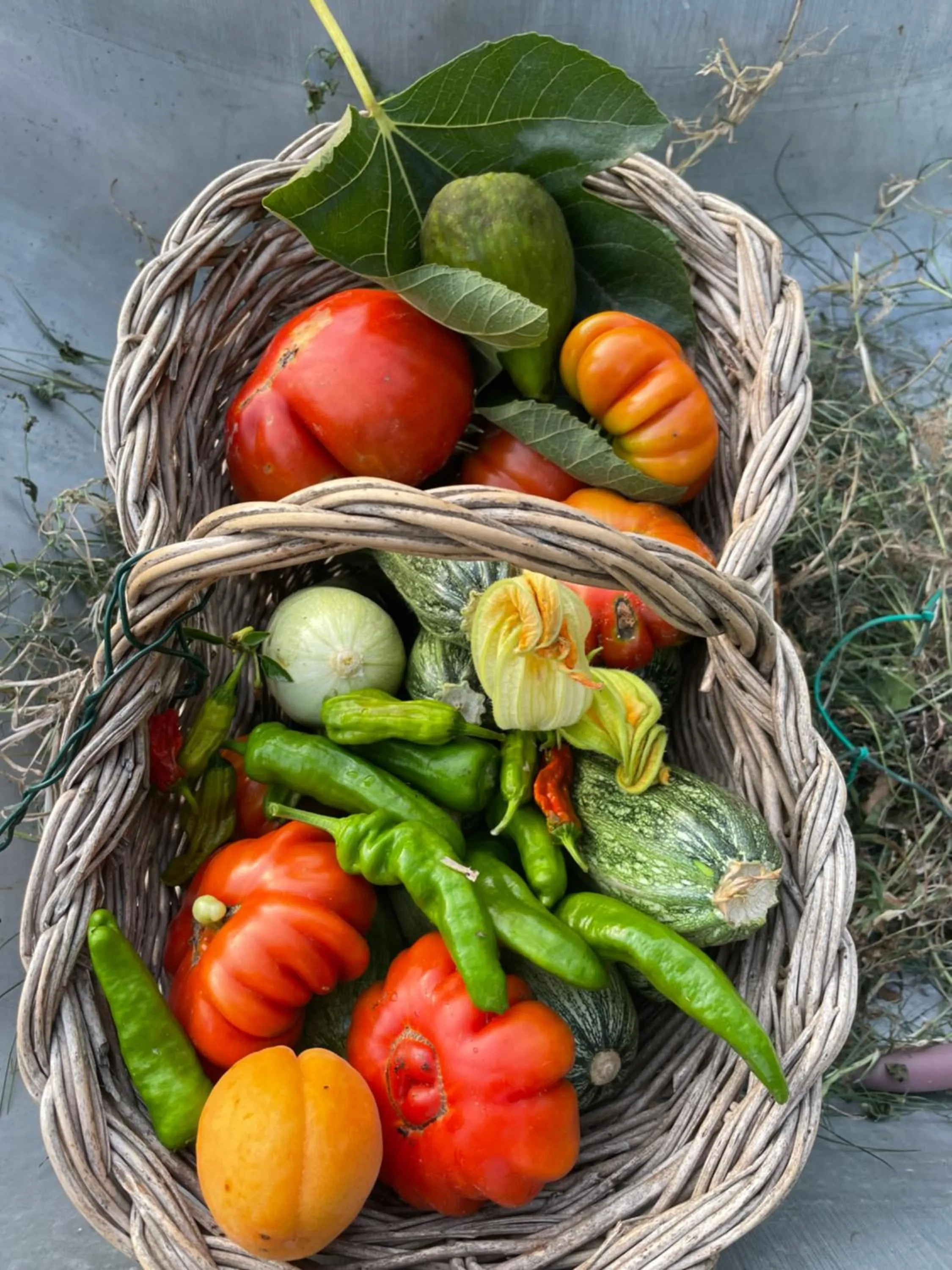 Food and drinks in Hotel Alfieri