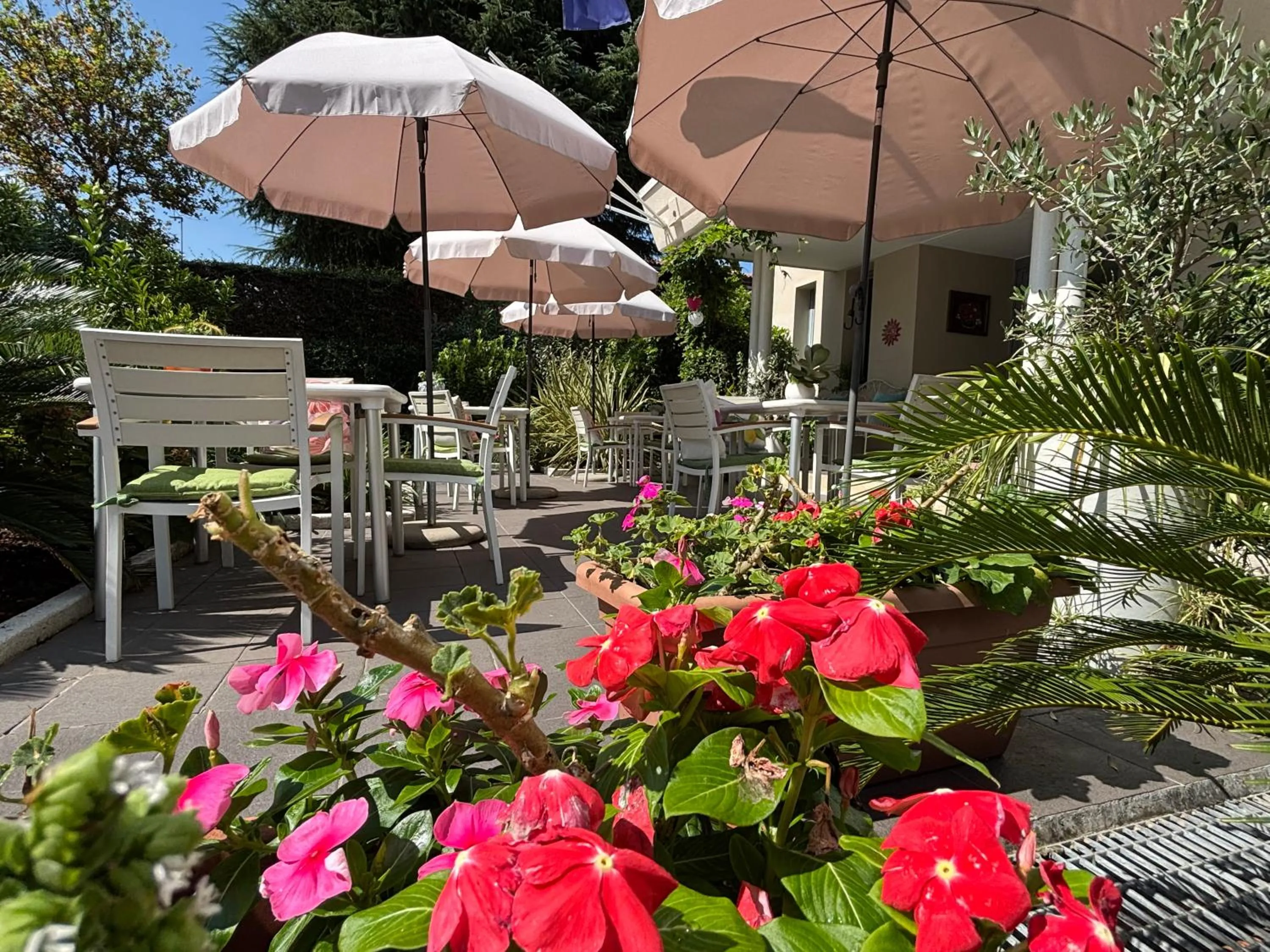 Garden in Hotel Alfieri