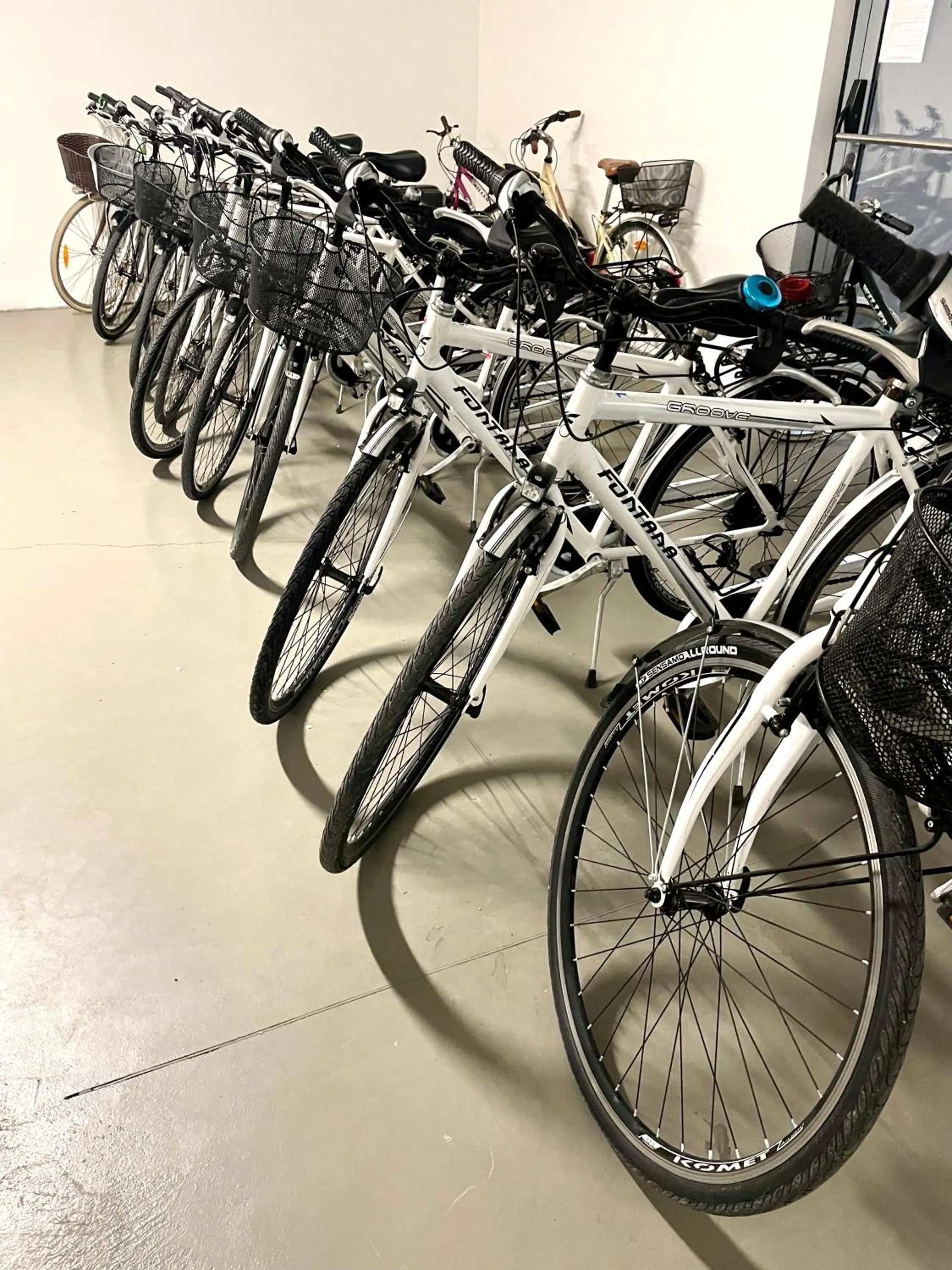 Cycling in Hotel Alfieri