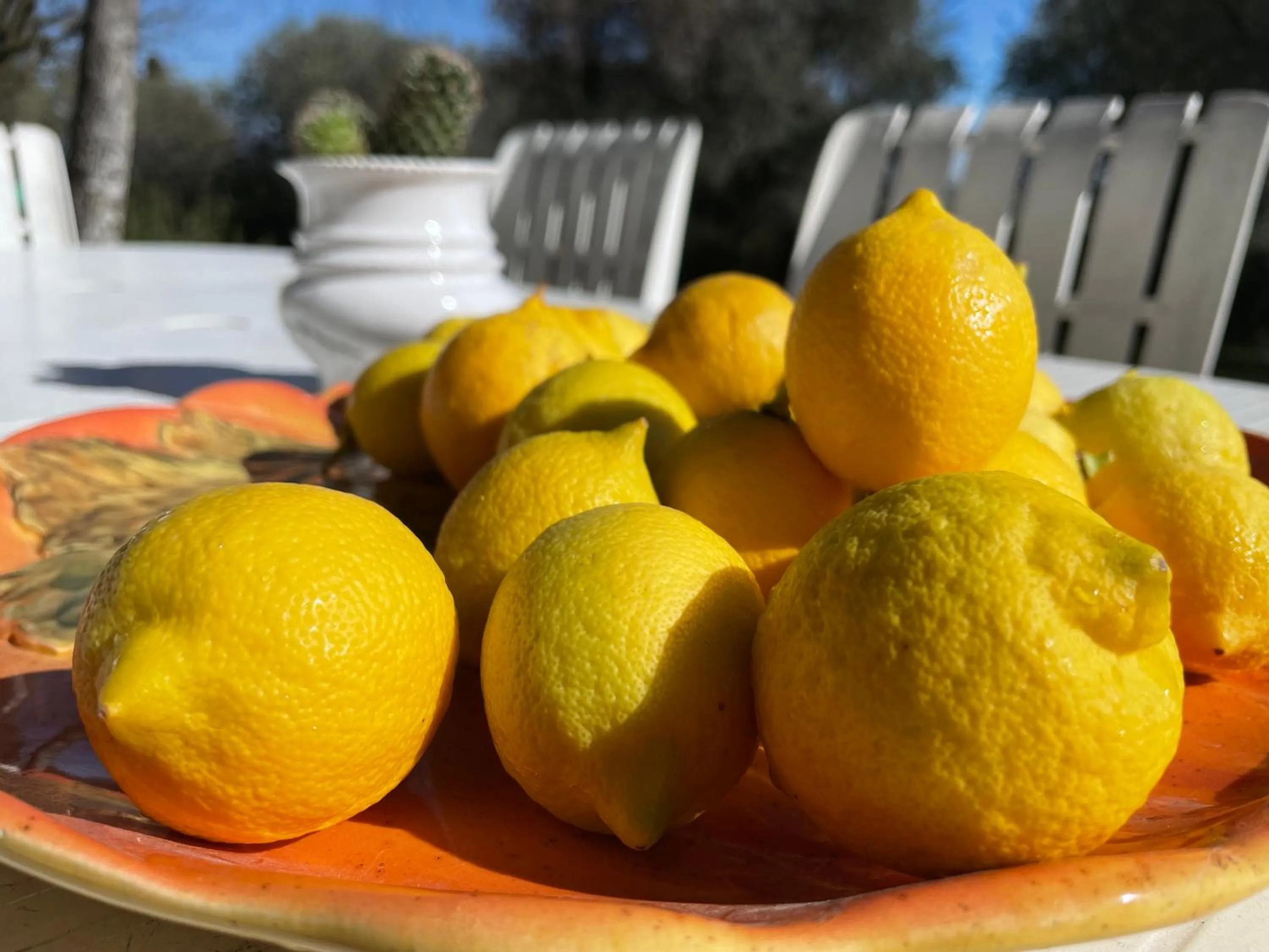 Food in Hotel Alfieri