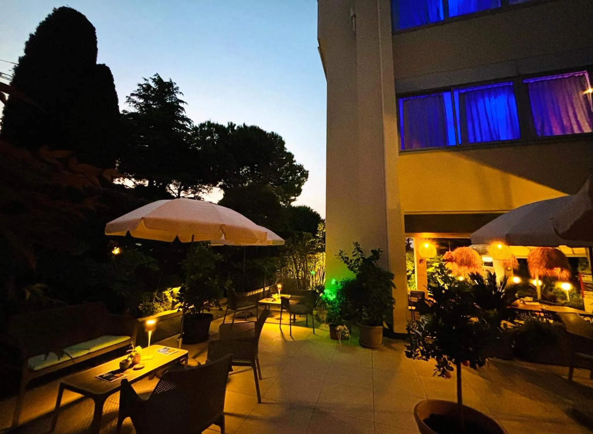 Garden in Hotel Alfieri