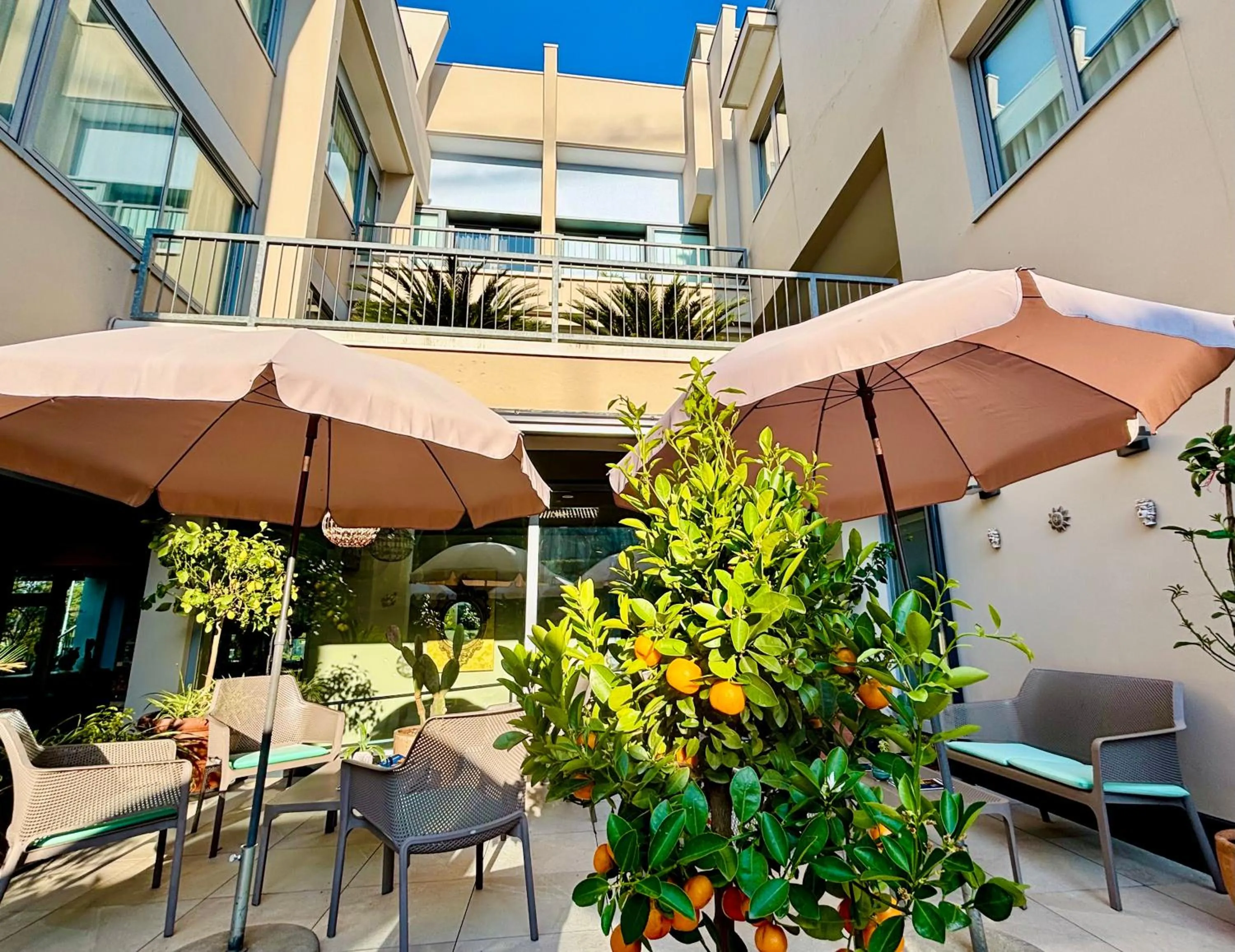 Garden in Hotel Alfieri