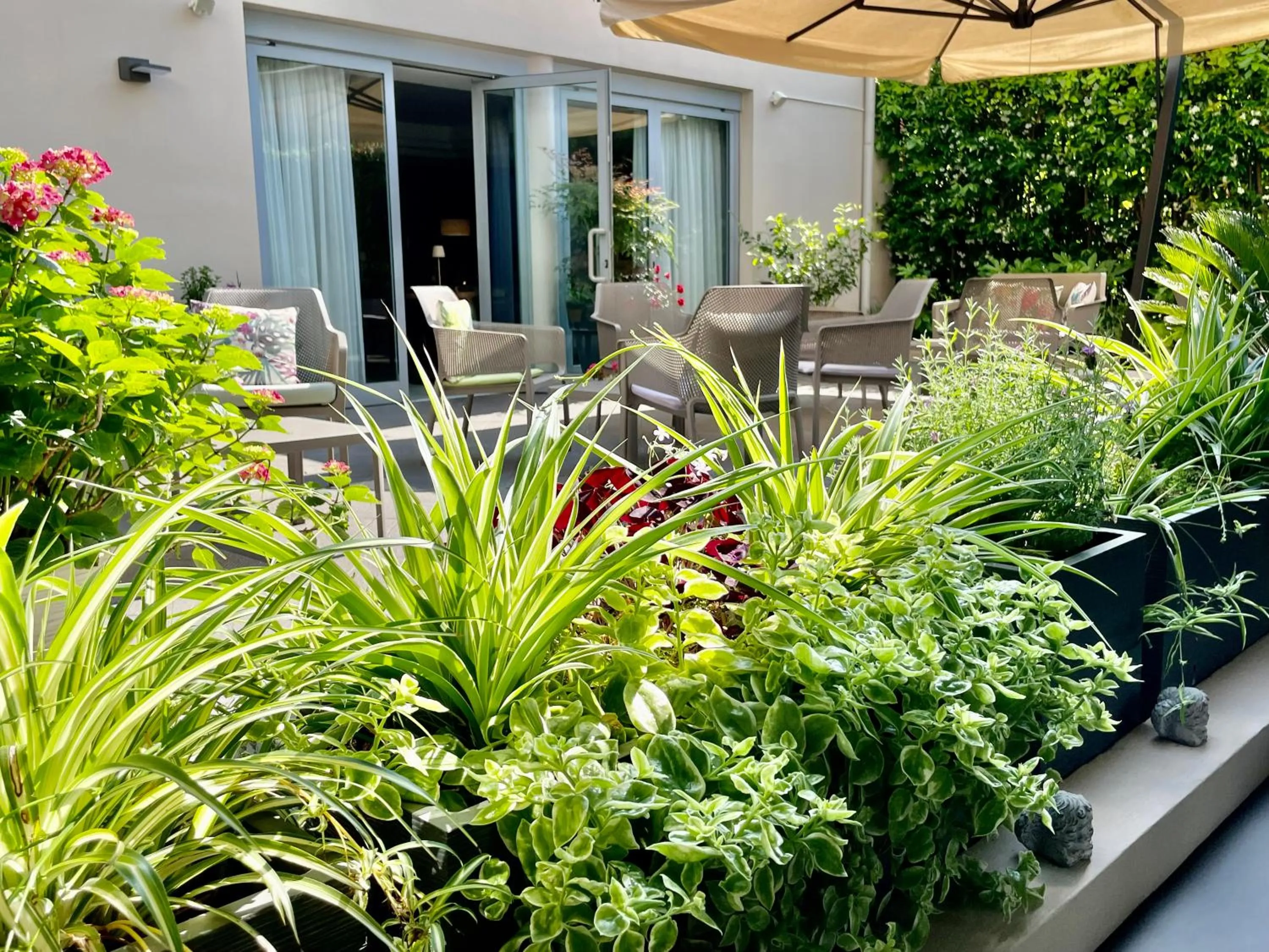 Garden in Hotel Alfieri