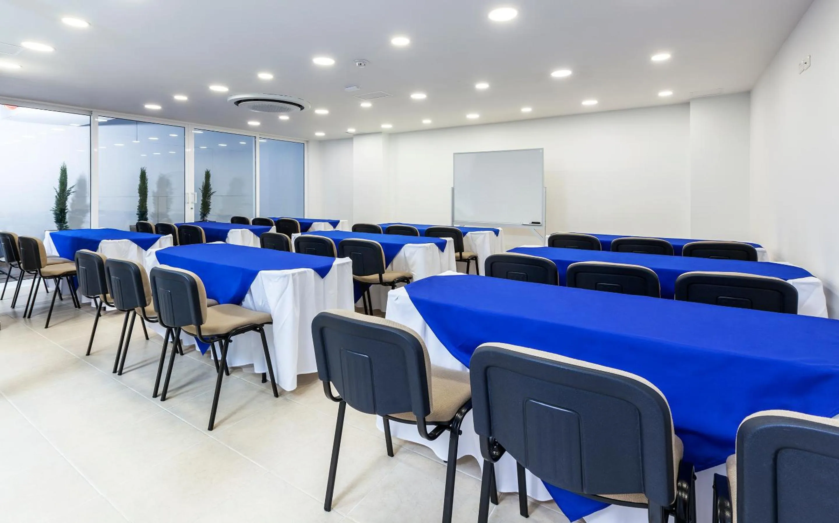 Business facilities in Torca Hotel