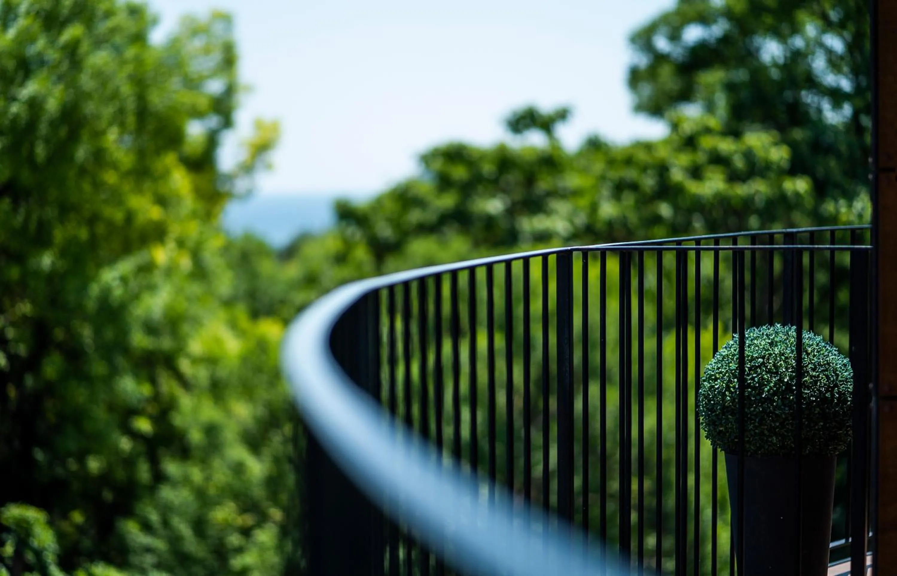 Spring in mOdus Hotel