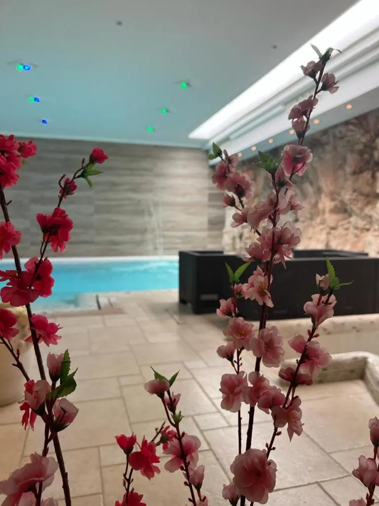 Spa and wellness centre/facilities in Hotel Madonna Delle Grazie
