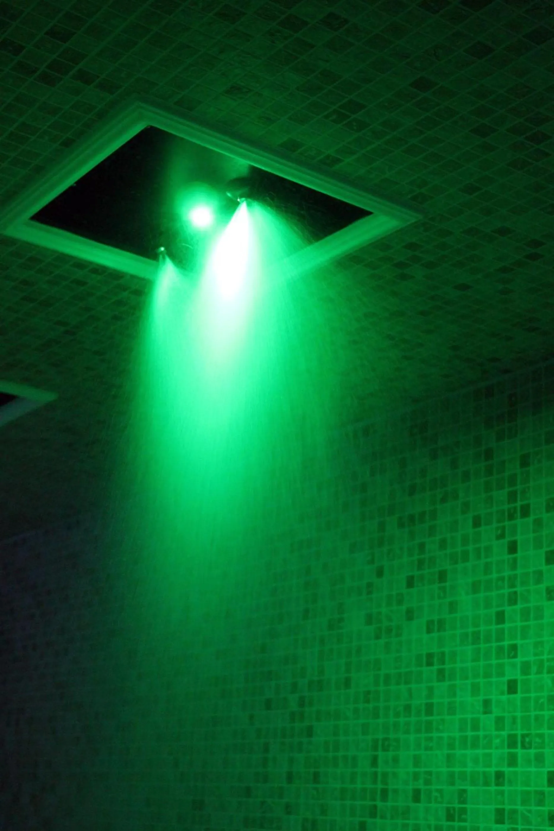 Shower in Hotel Madonna Delle Grazie