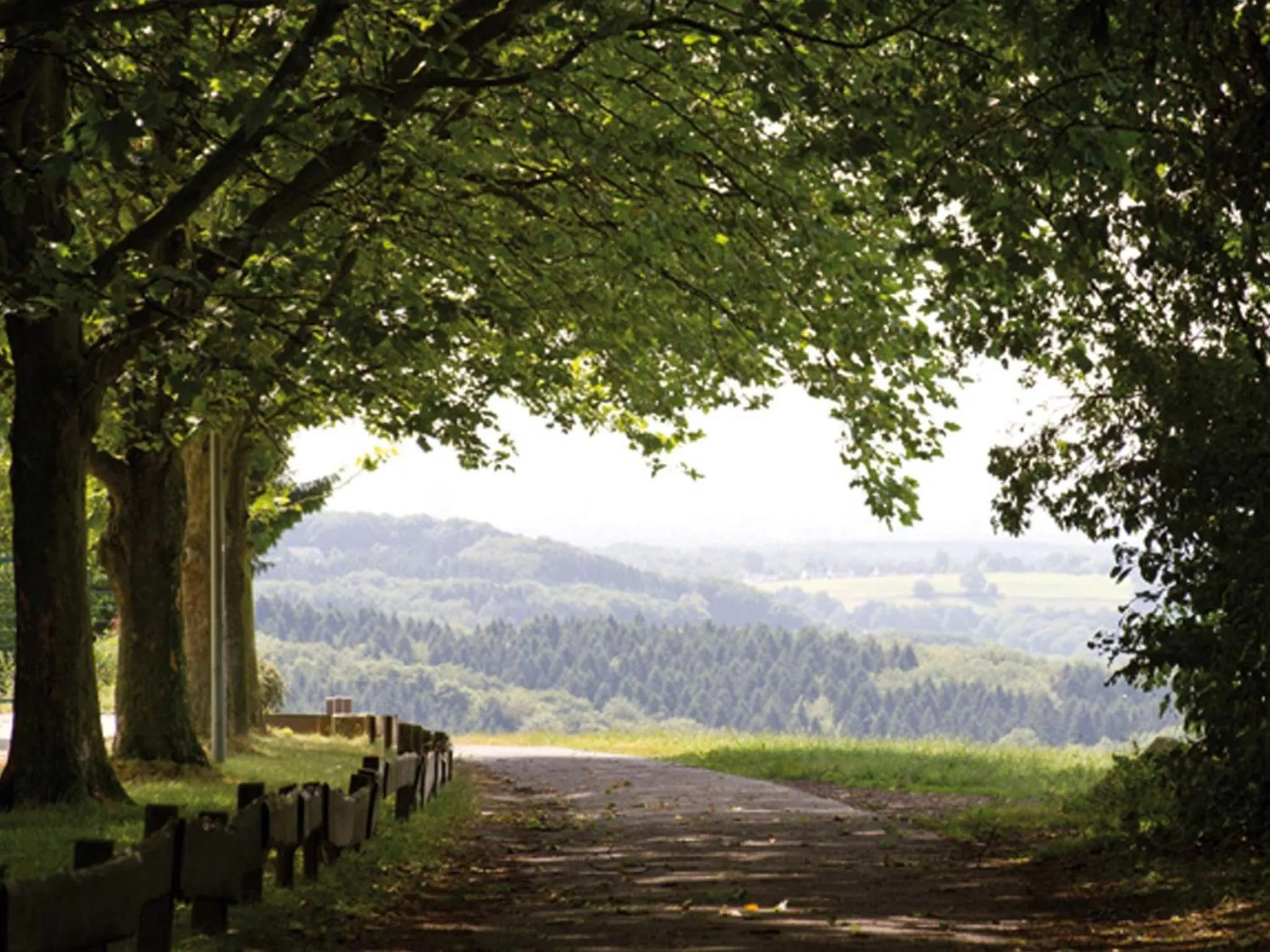 Garden in Hotel Eikamper Höhe