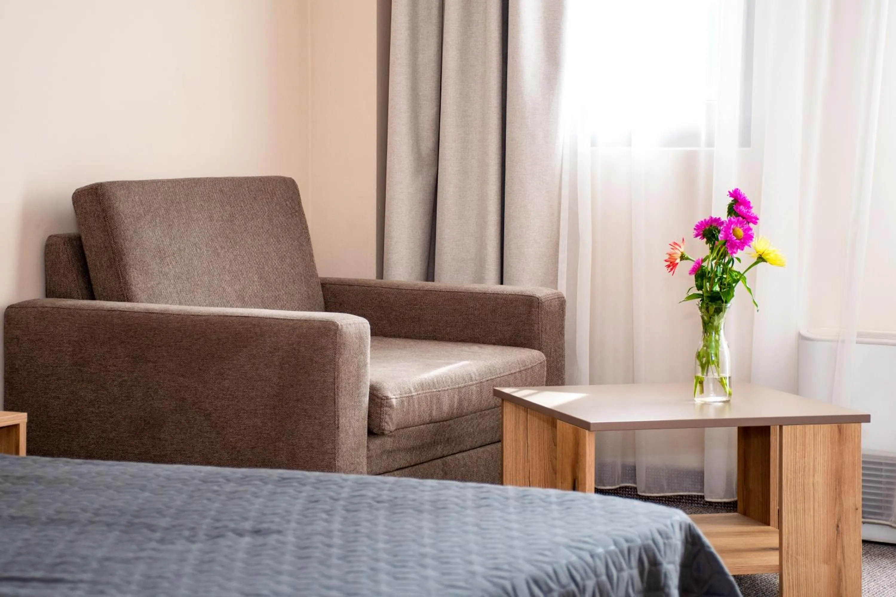 Seating area in Hotel Orphey