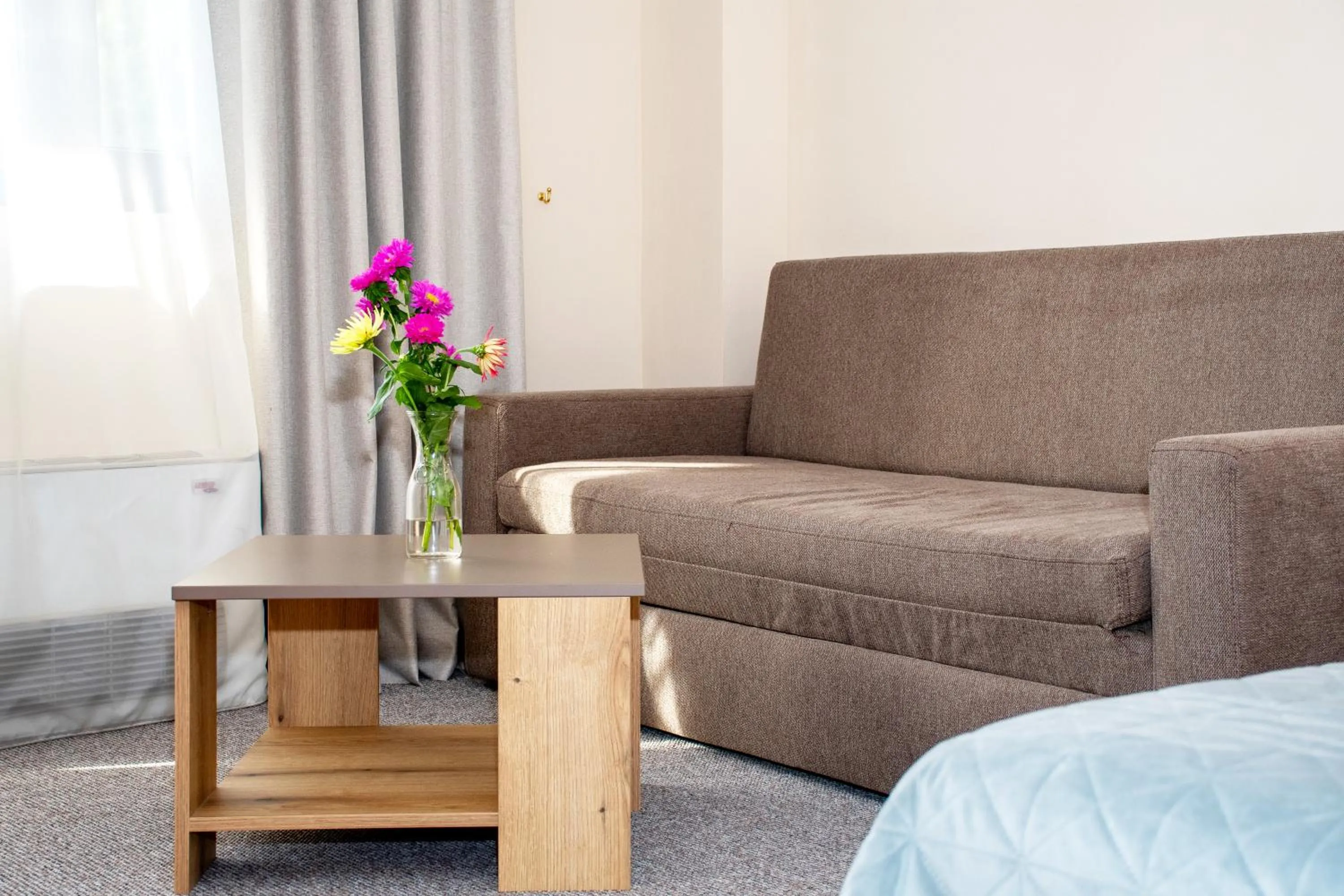 Photo of the whole room in Hotel Orphey