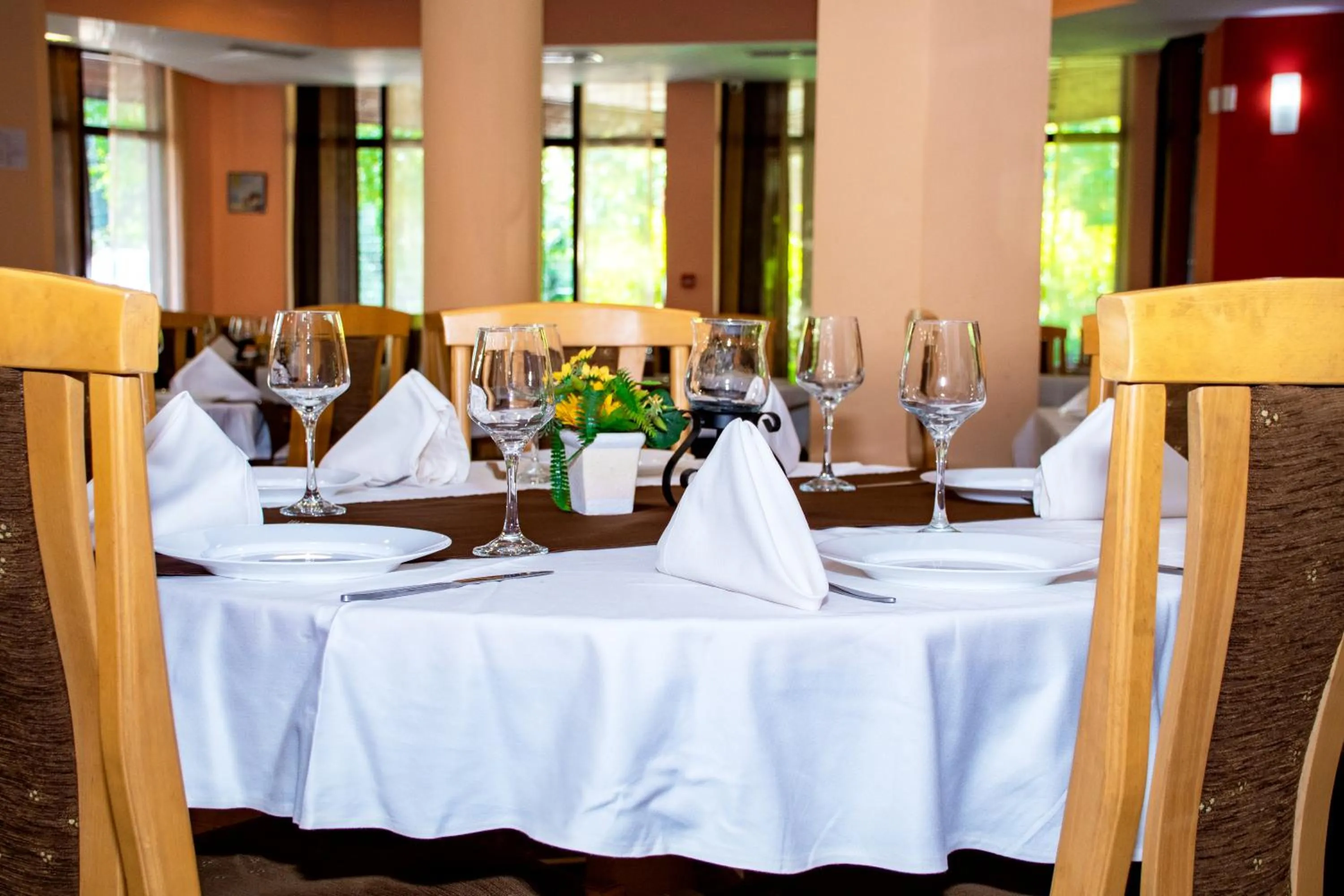 Restaurant/places to eat in Hotel Orphey