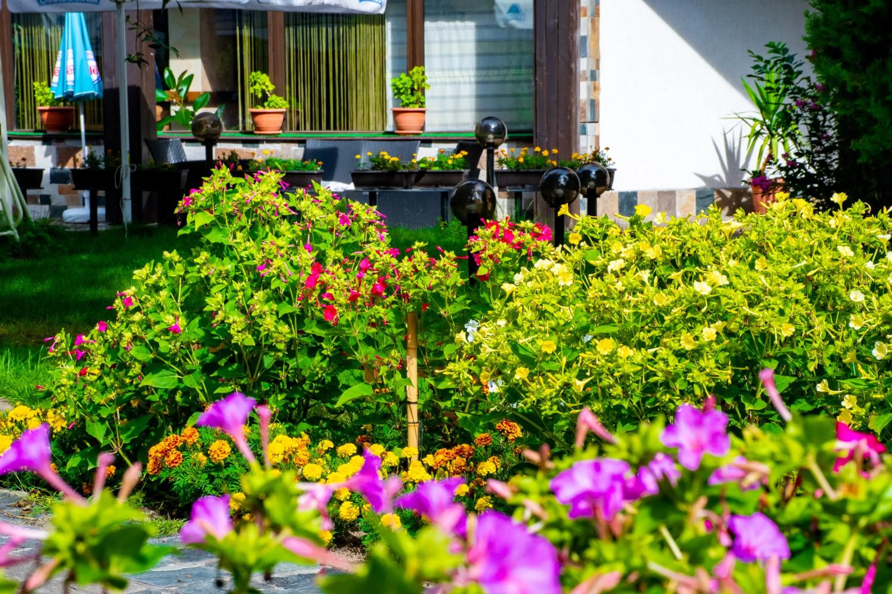 Patio in Hotel Orphey