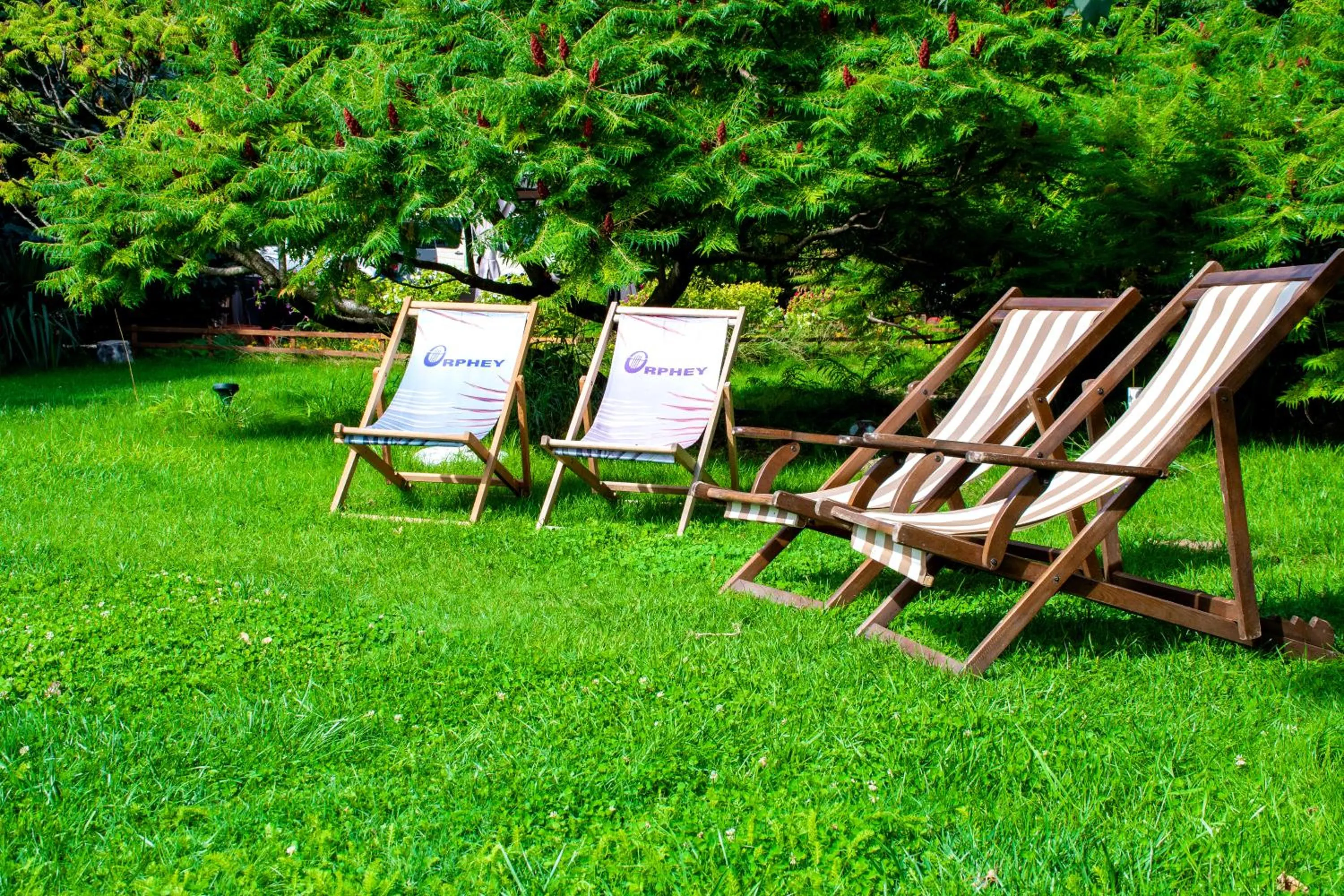 Natural landscape in Hotel Orphey