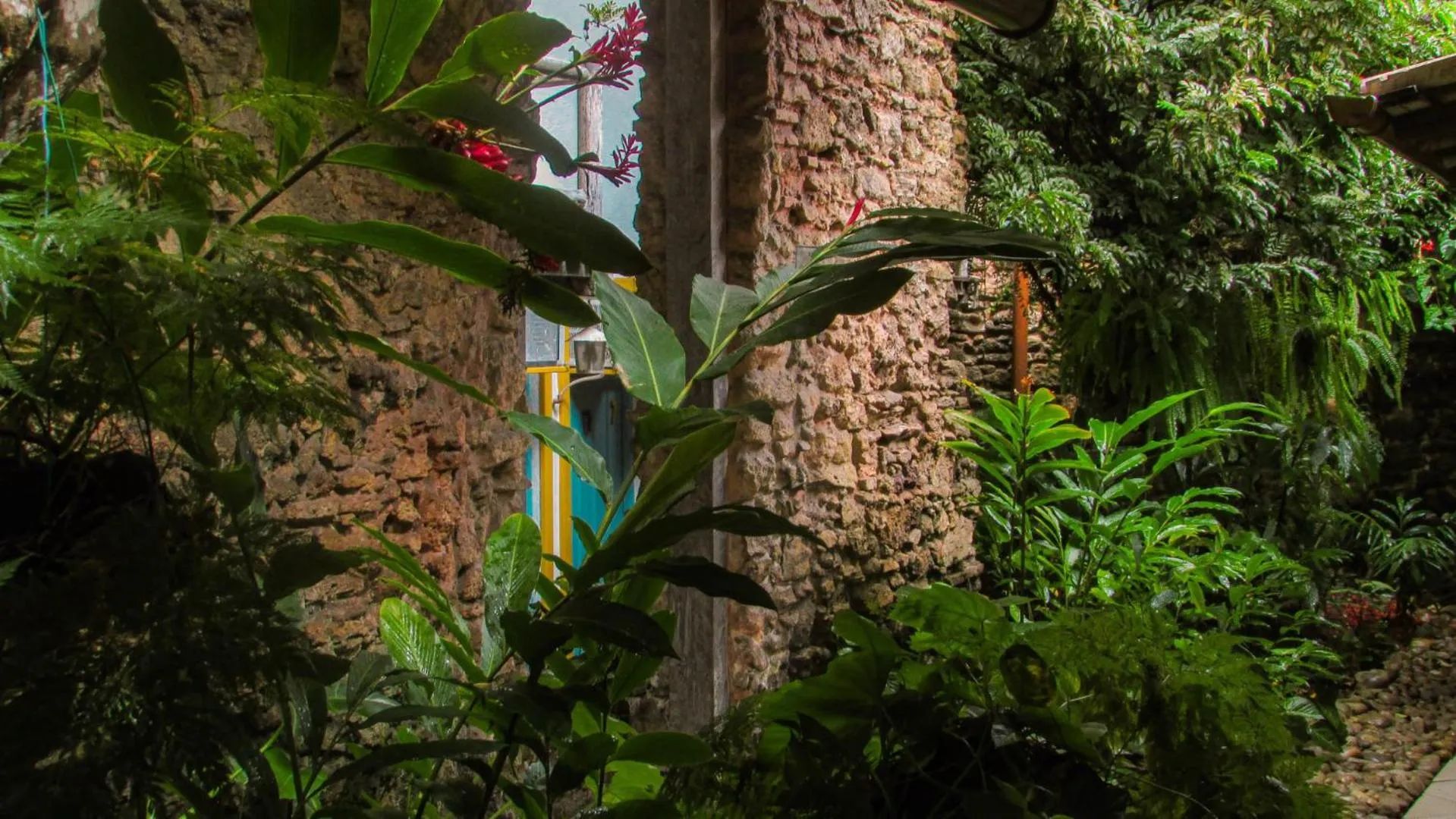 Garden in Hotel Estalagem Porto Seguro