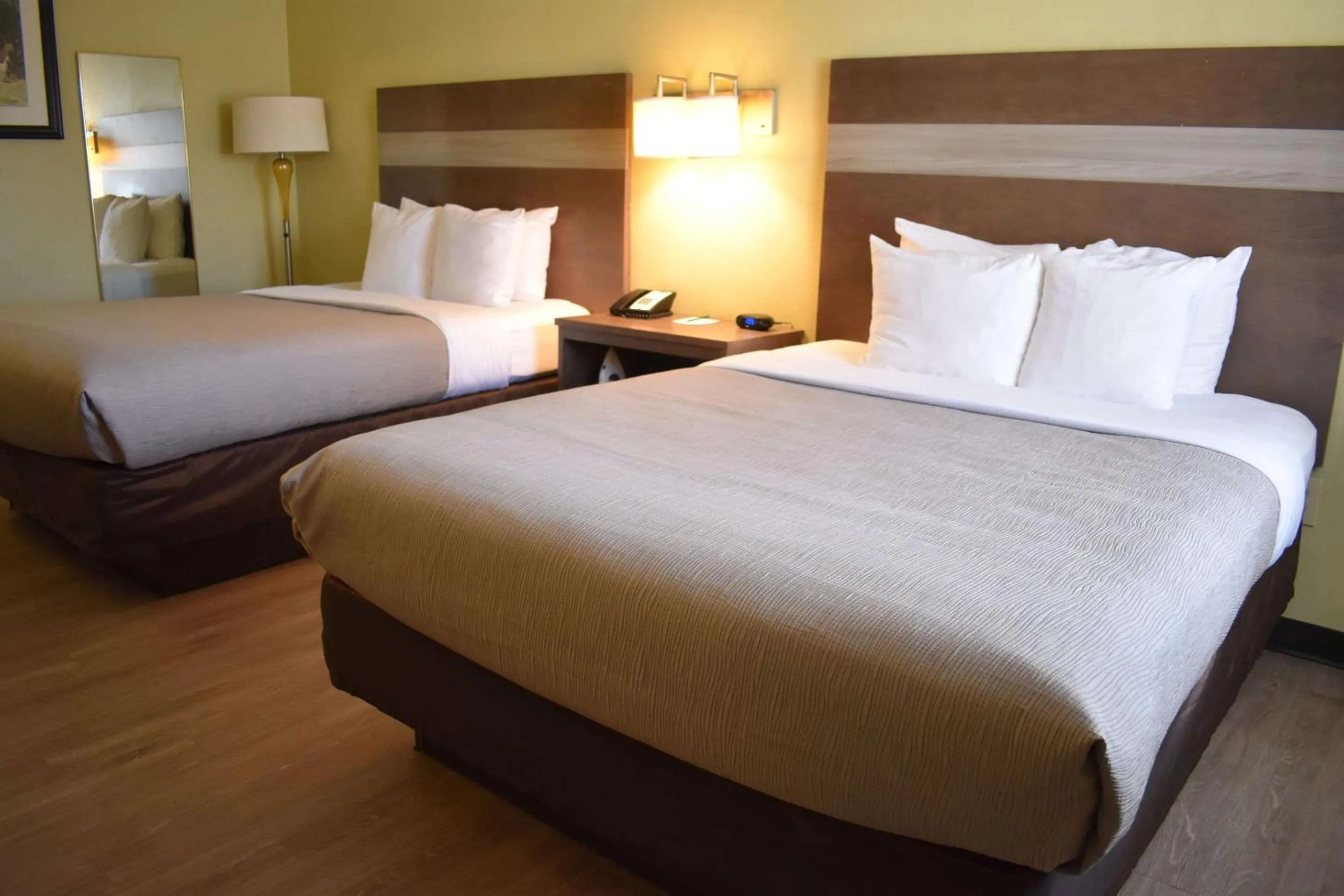 Bed in Quality Inn & Suites Gallup I-40 Exit 20