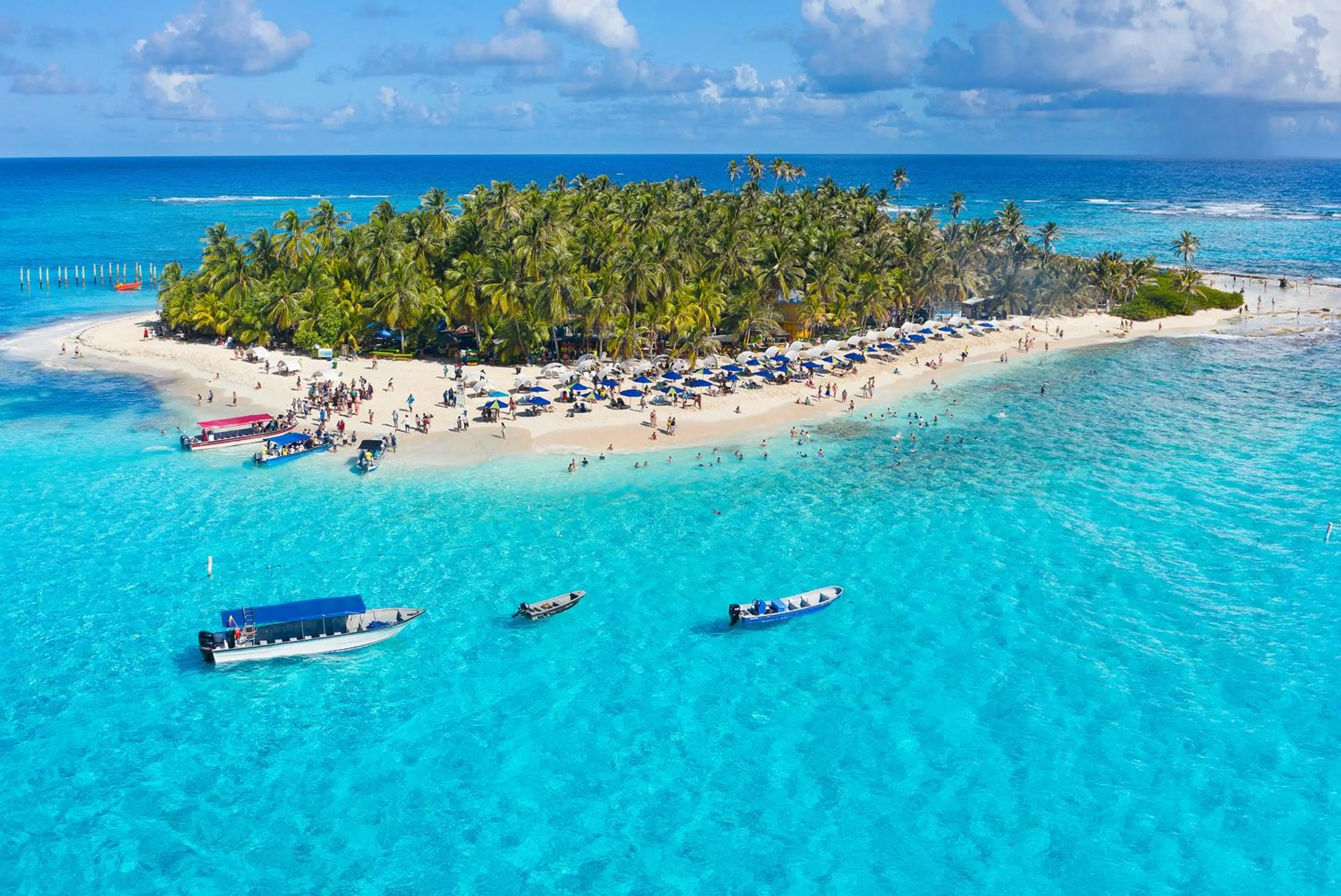 Day in Sol Caribe Sea Flower