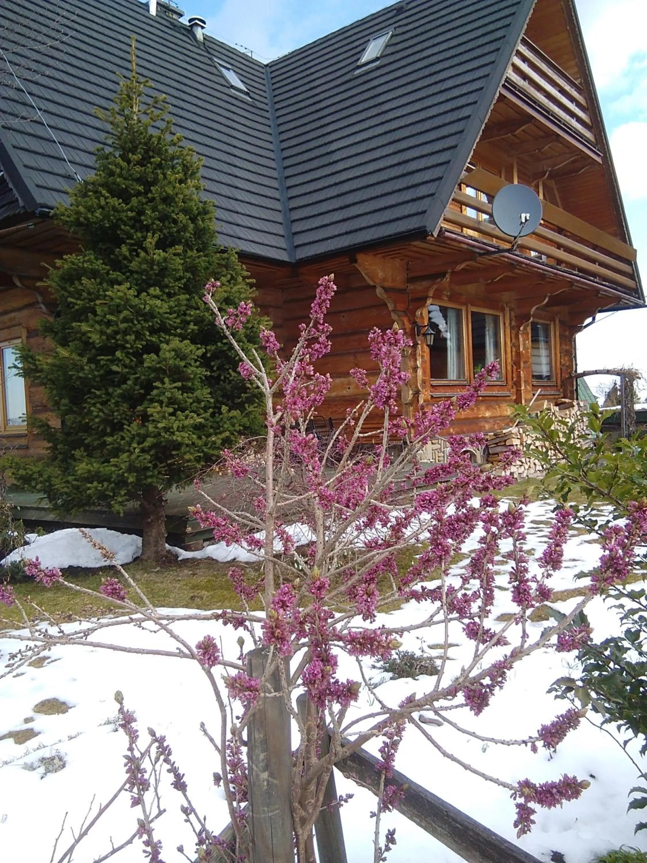 Property building in Willa Koisowka