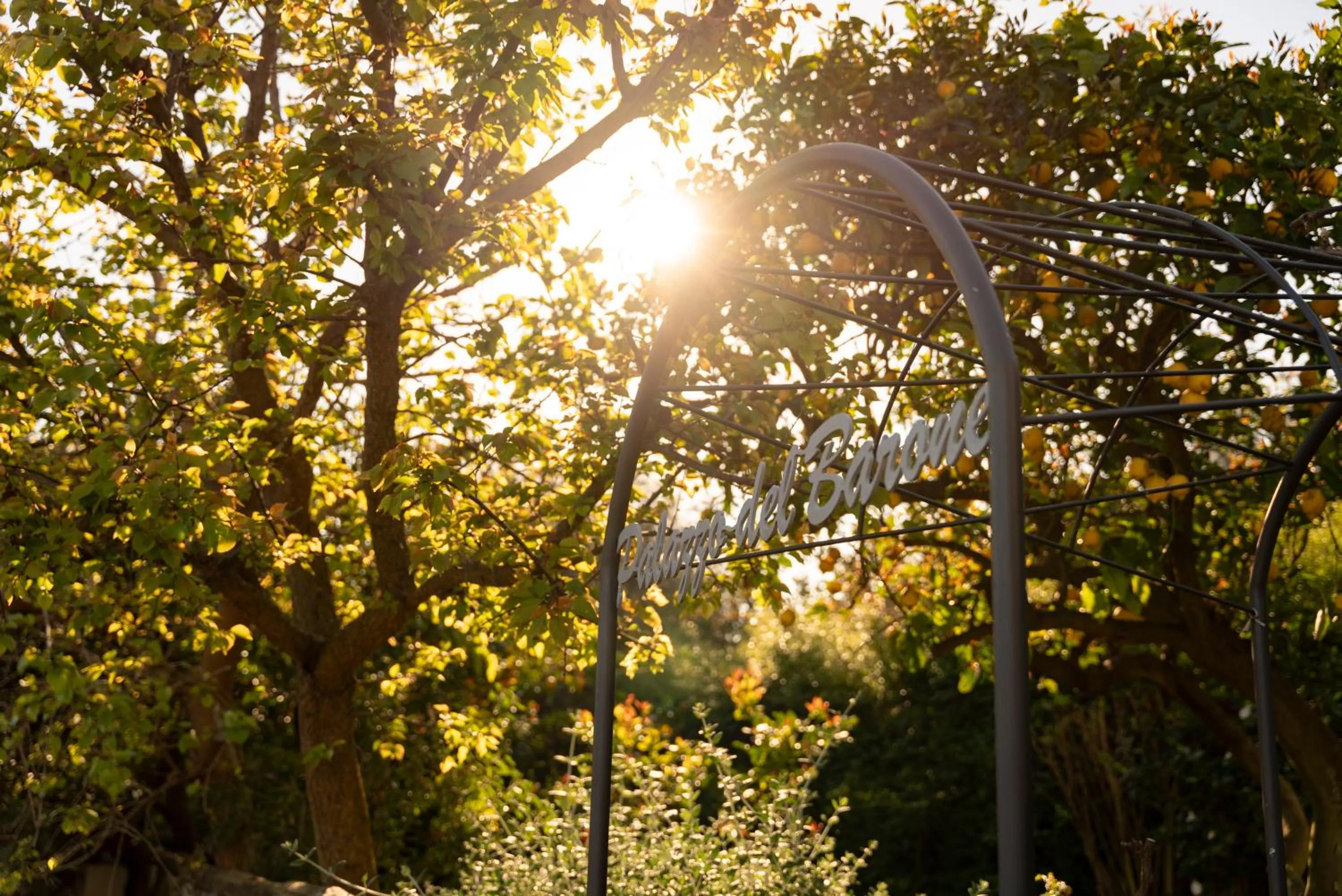 Day in Relais Palazzo del Barone