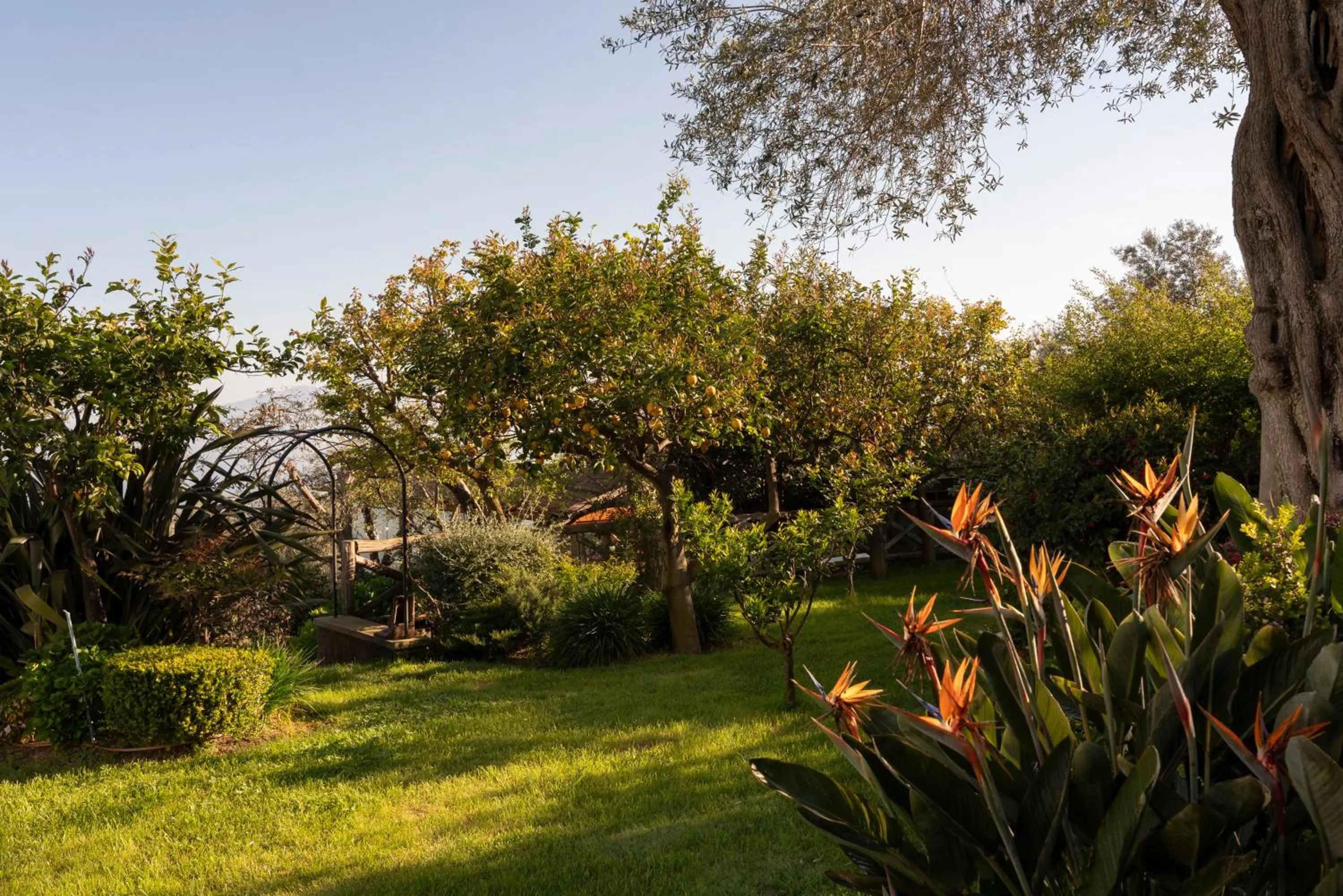 Garden in Relais Palazzo del Barone