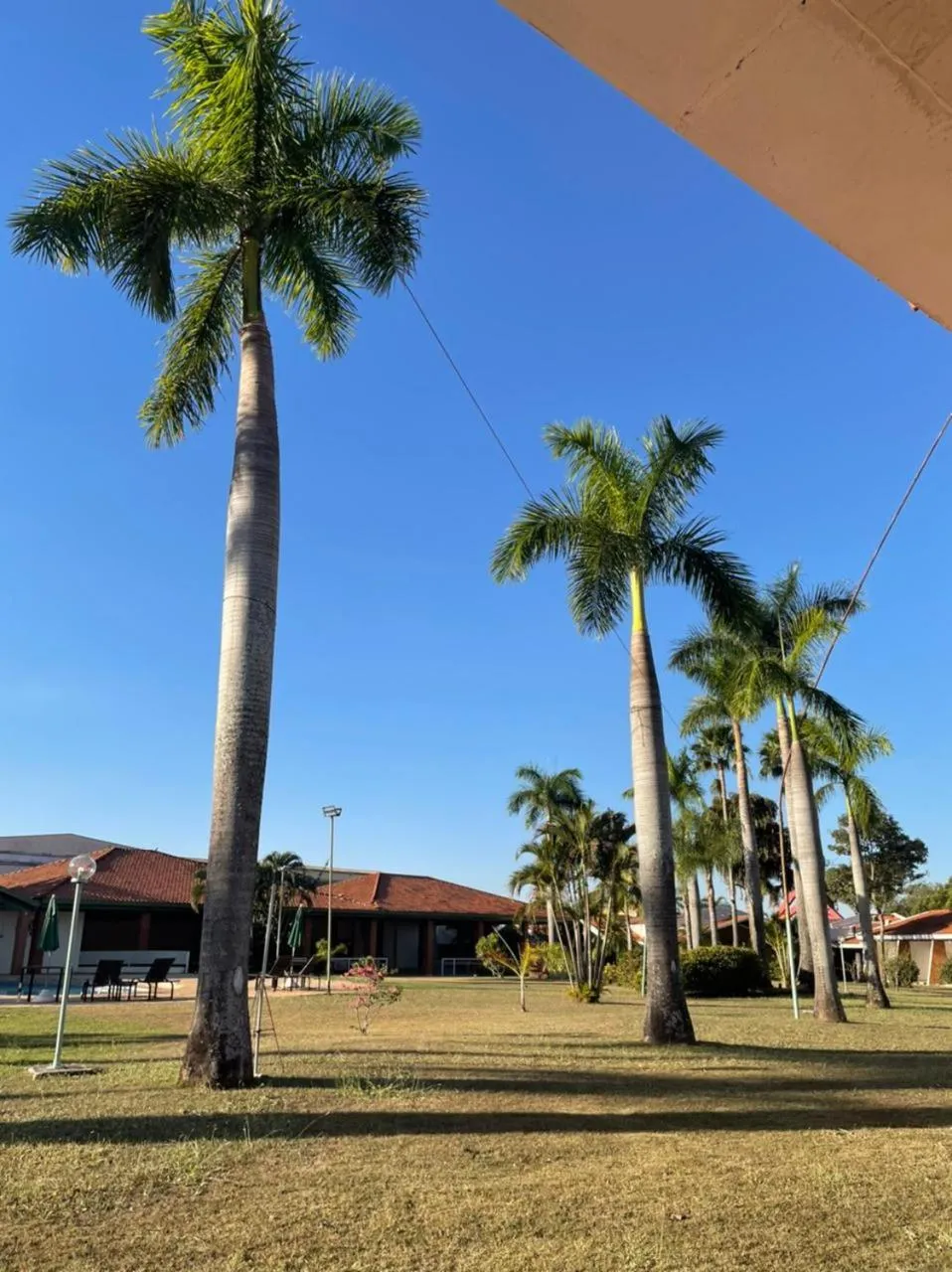 Day in IPÊ PARK Convention Hotel