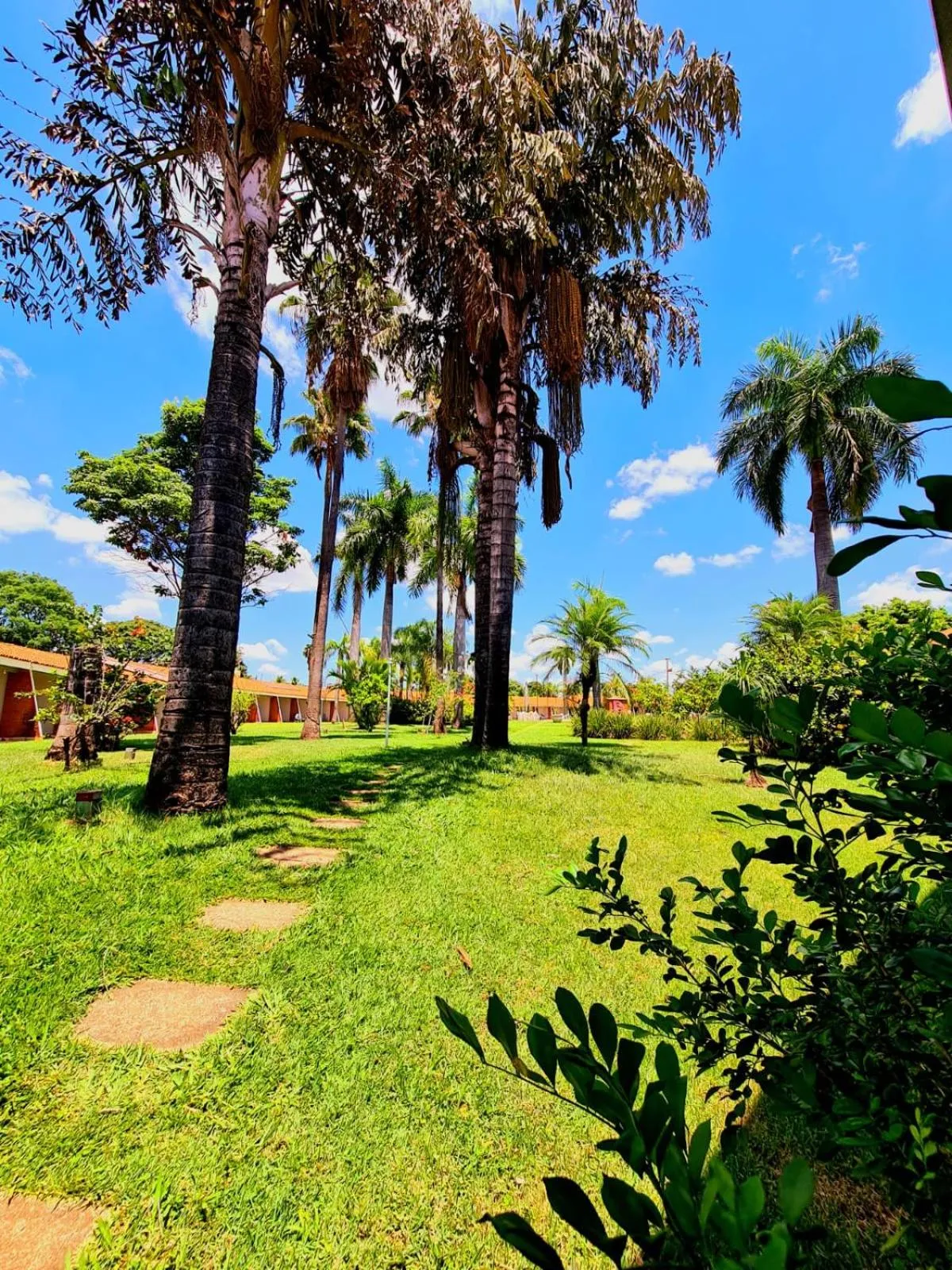 Day in IPÊ PARK Convention Hotel