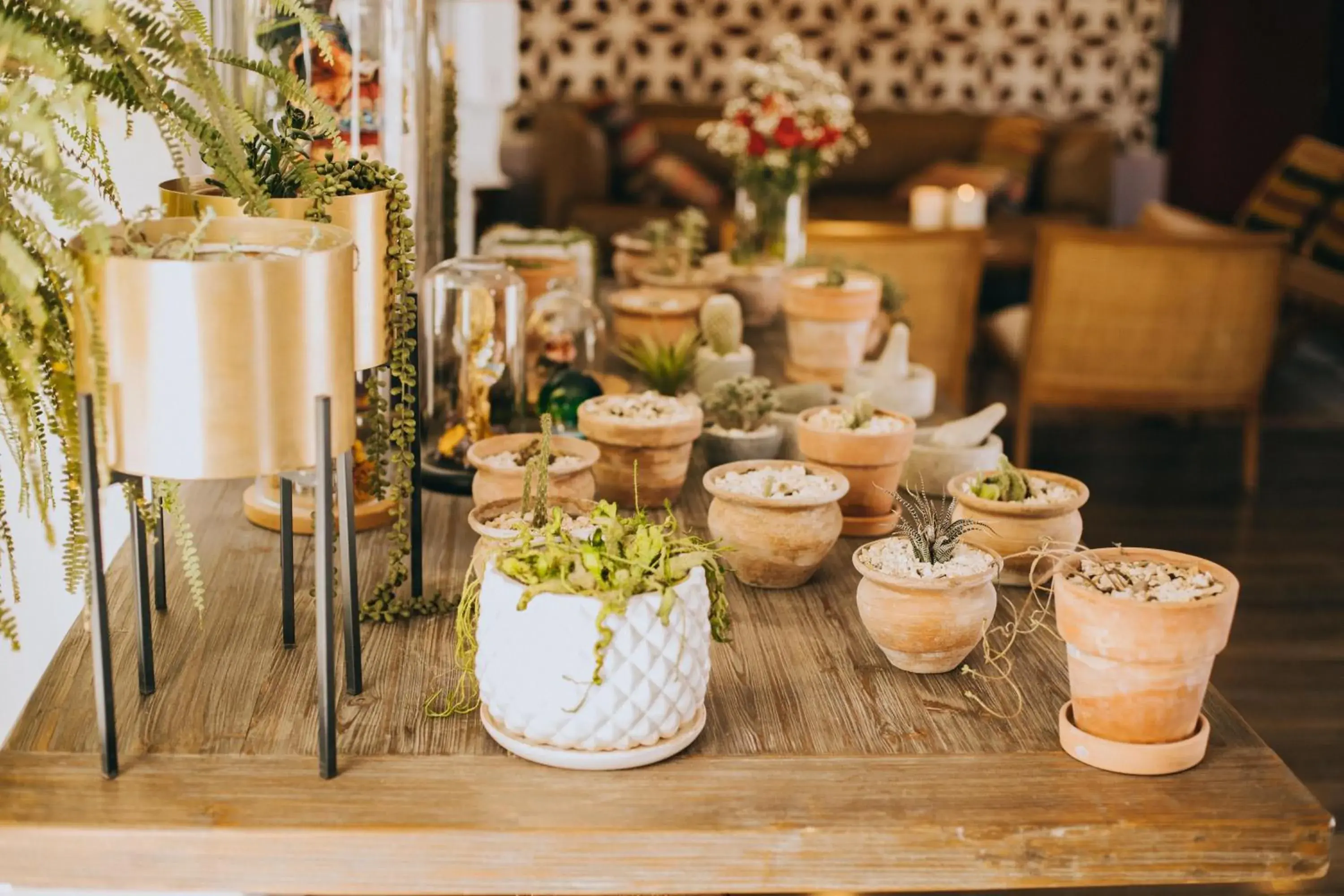 Single Room - single occupancy in Anden Inca Hotel Single Room - single occupancy in Anden Inca Hotel