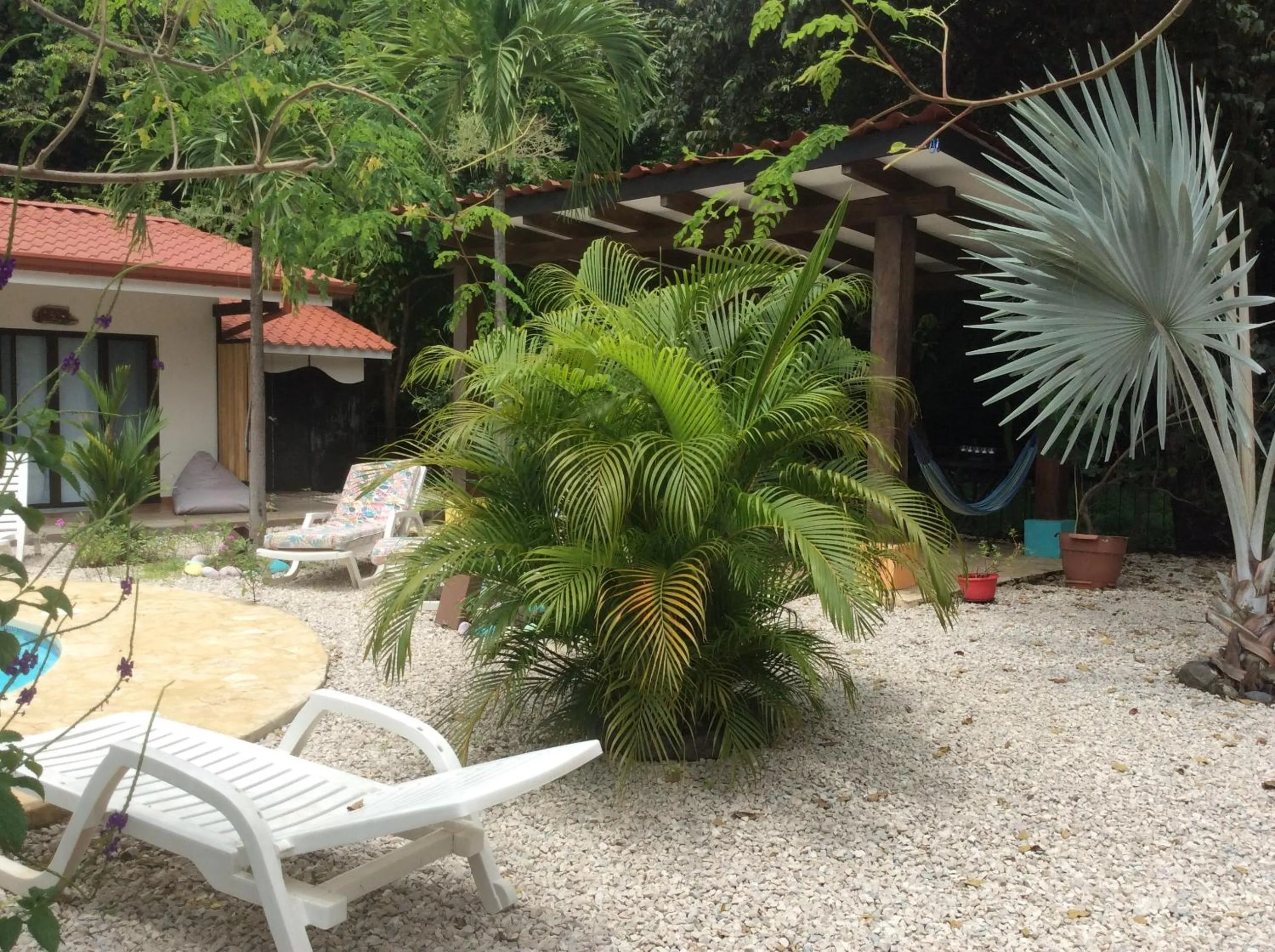 Garden view in Surfside Mar Y Posa