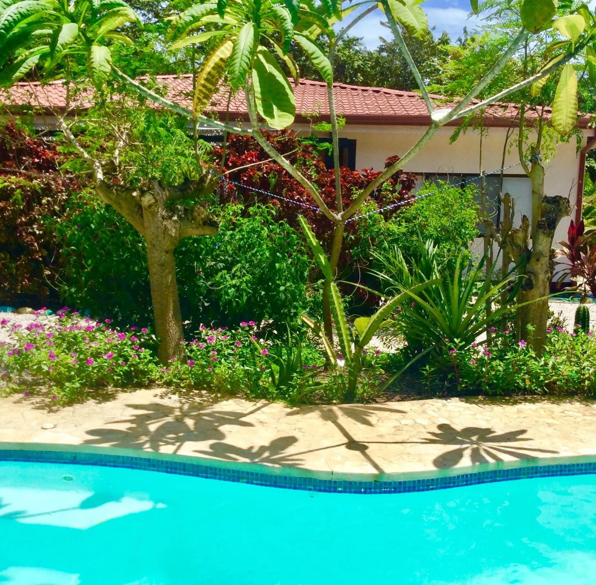 View (from property/room) in Surfside Mar Y Posa