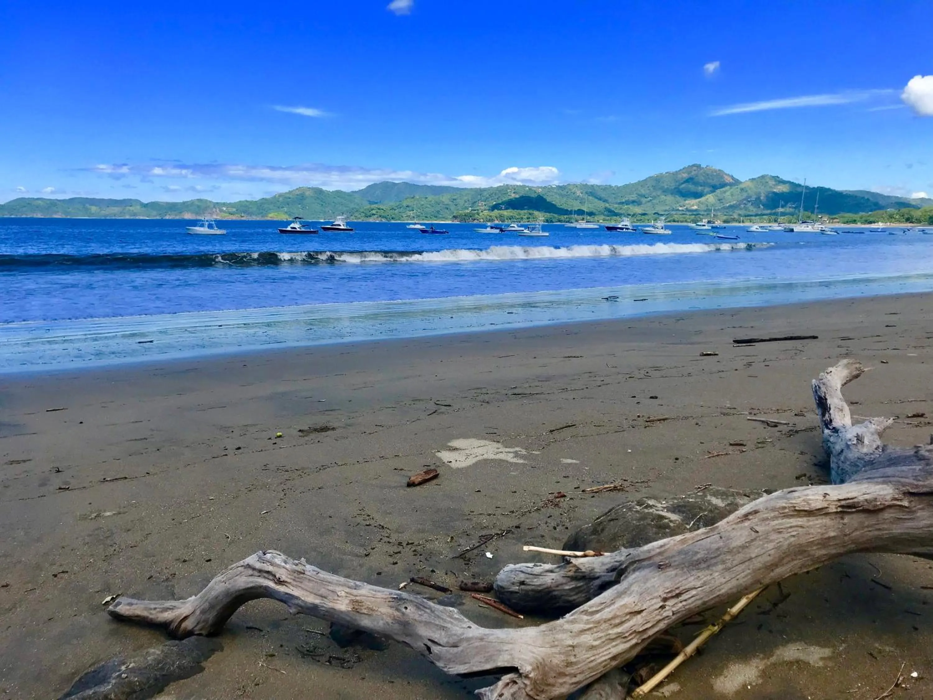 Natural landscape in Surfside Mar Y Posa