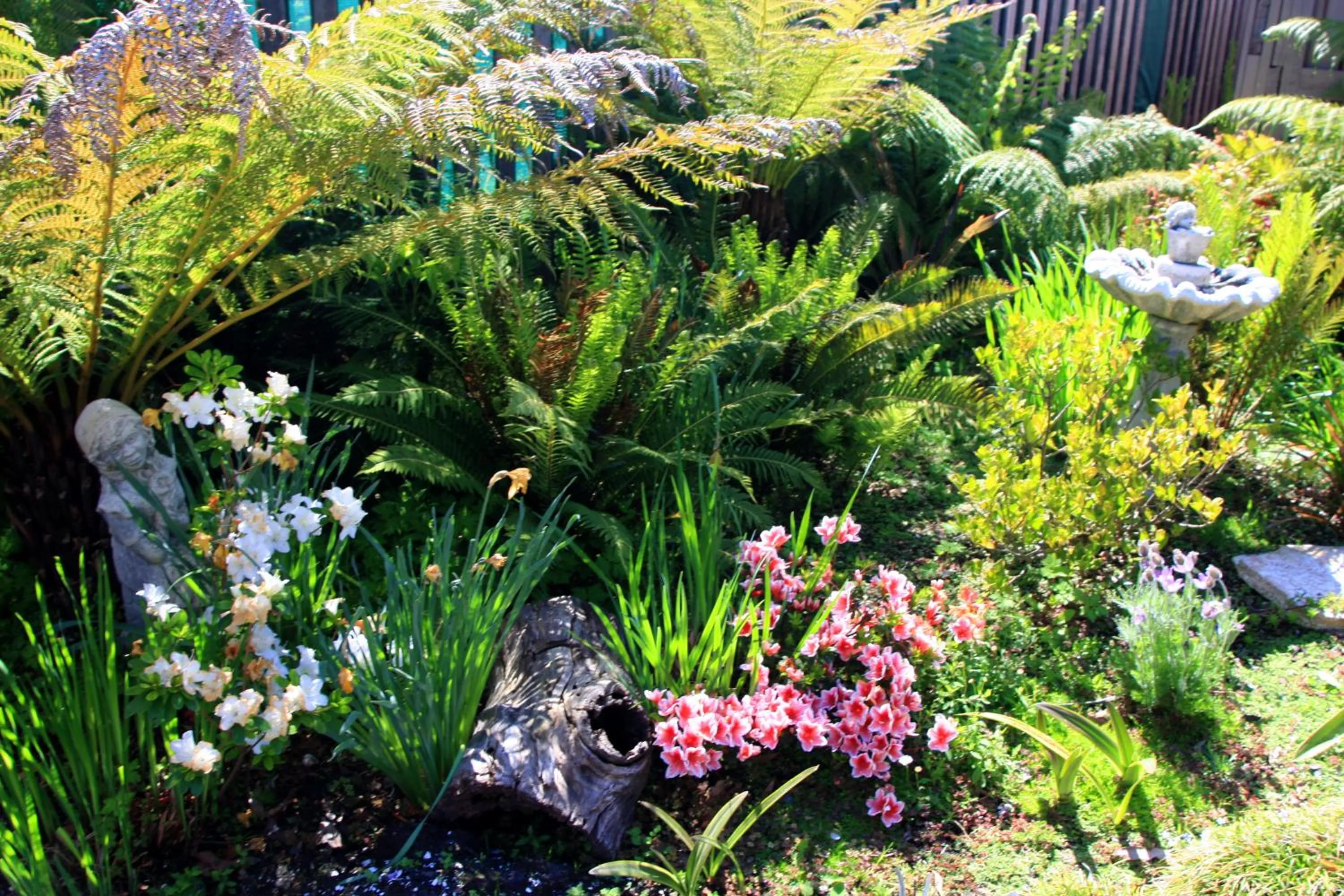 Garden in Abs by the Bay