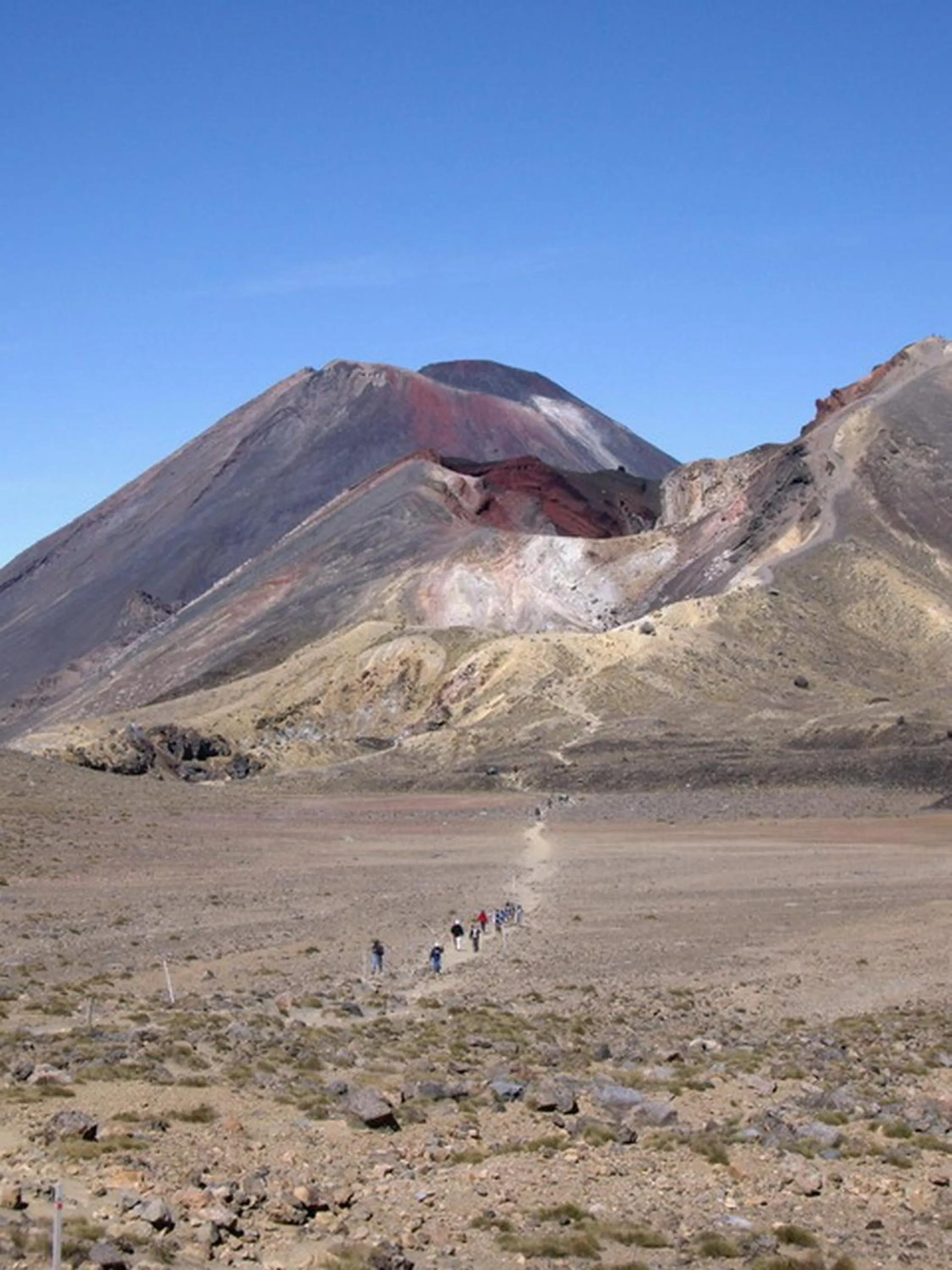 Natural landscape in Plateau Lodge