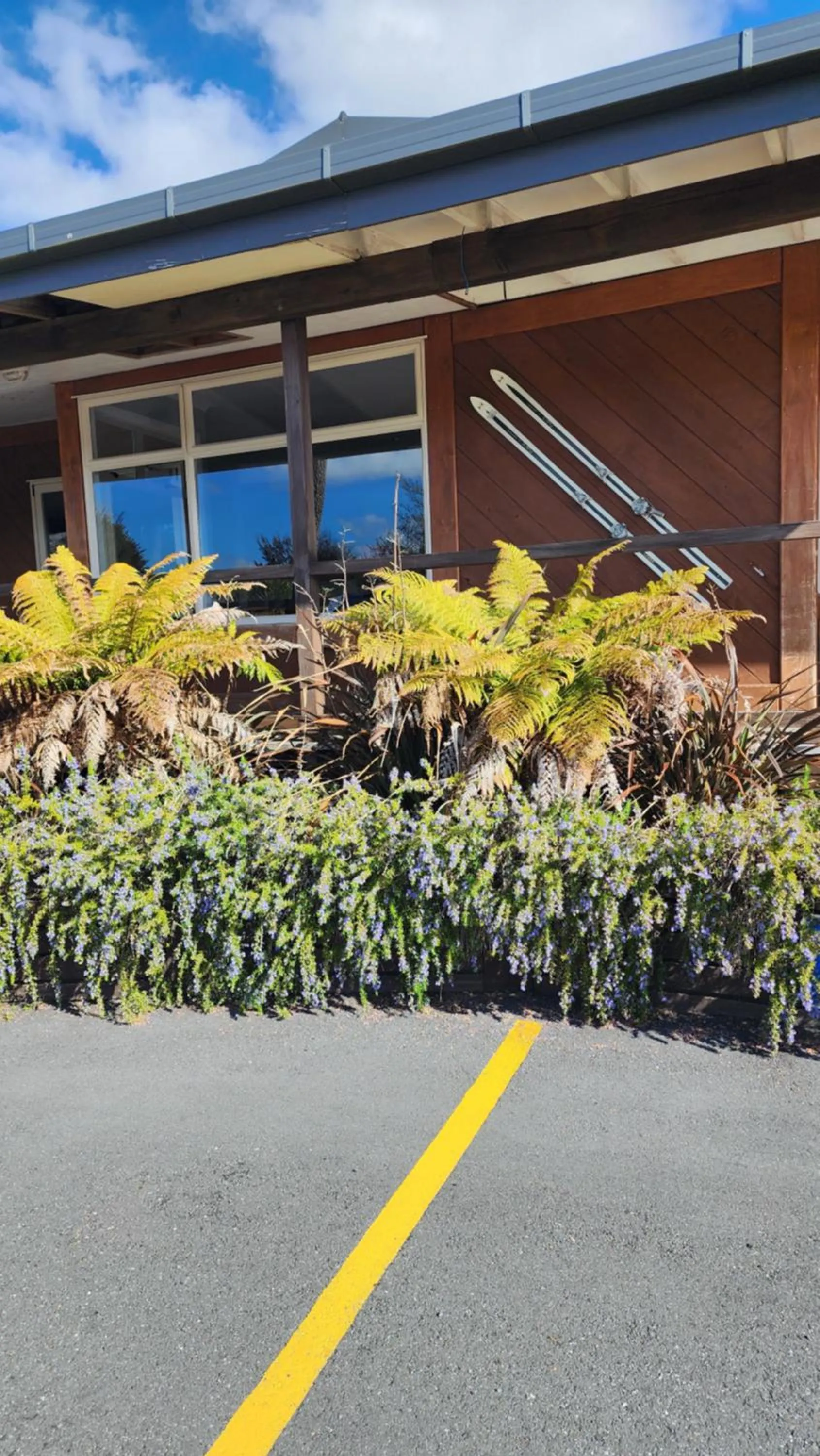 Garden view in Plateau Lodge