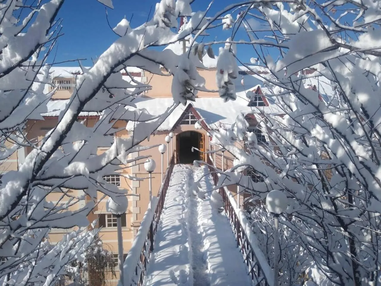 Winter in Toshali Royal View ,S H I M L A