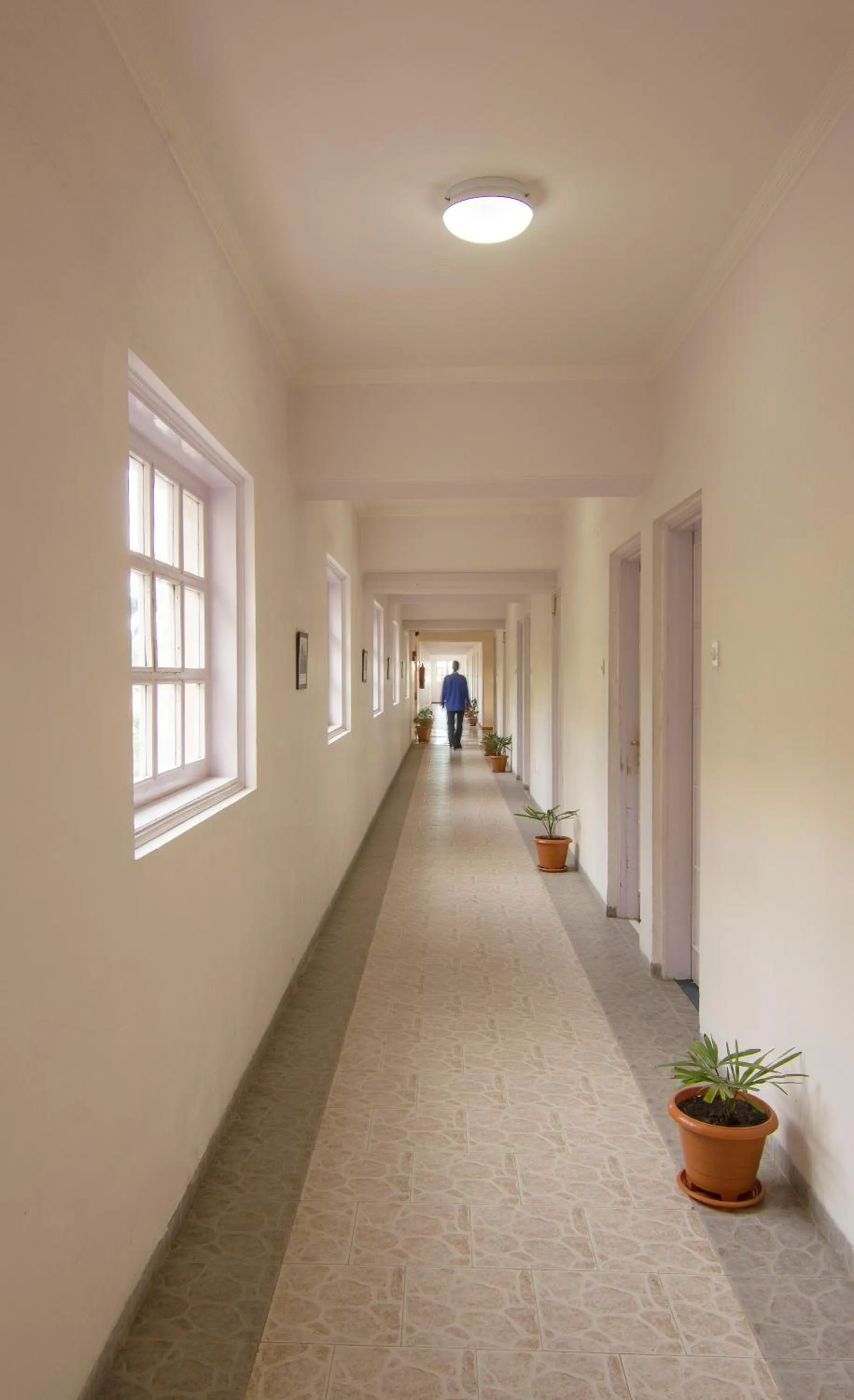 Property building in Toshali Royal View ,S H I M L A