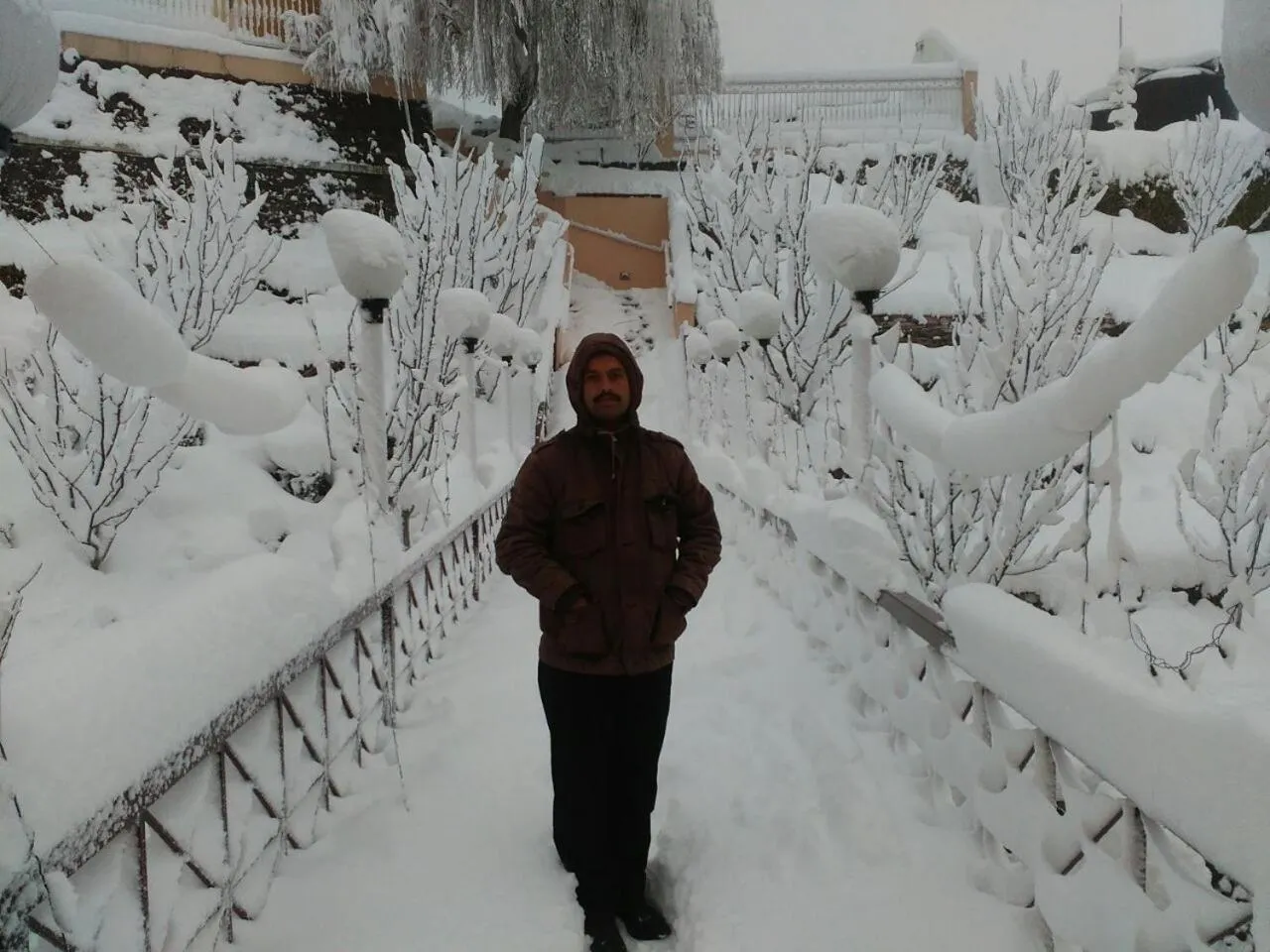 Natural landscape in Toshali Royal View ,S H I M L A