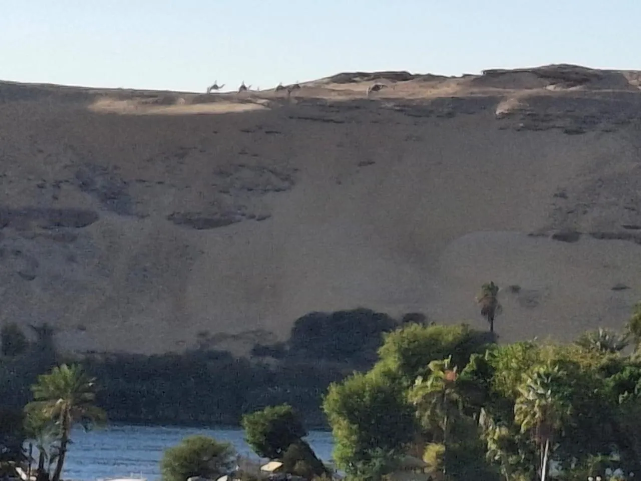 El Prince Guesthouse