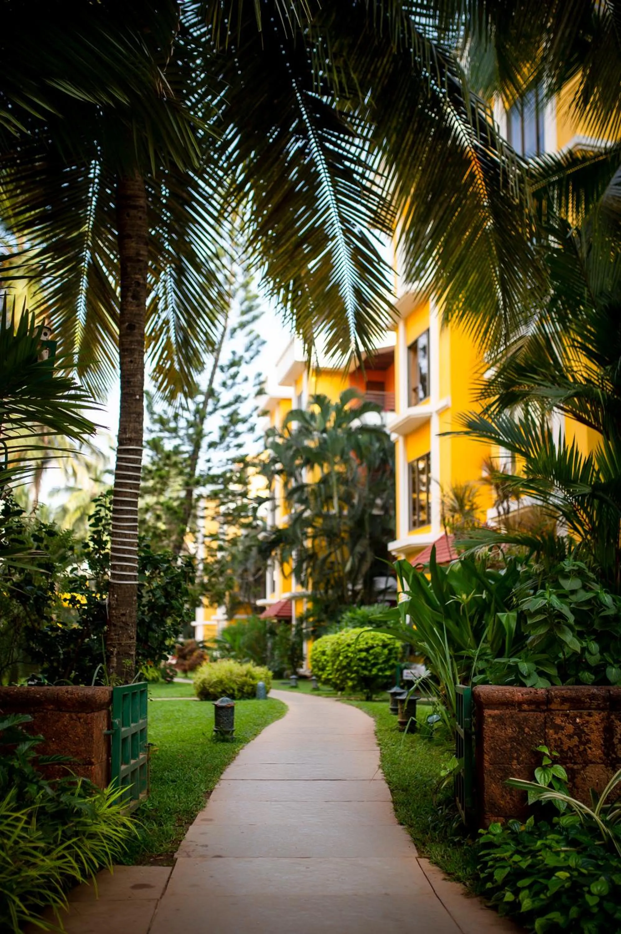 Garden in Adamo The Bellus Calangute