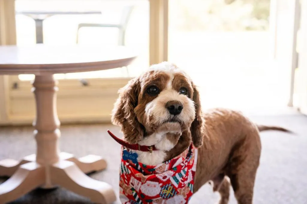 Lake Jindabyne Hotel