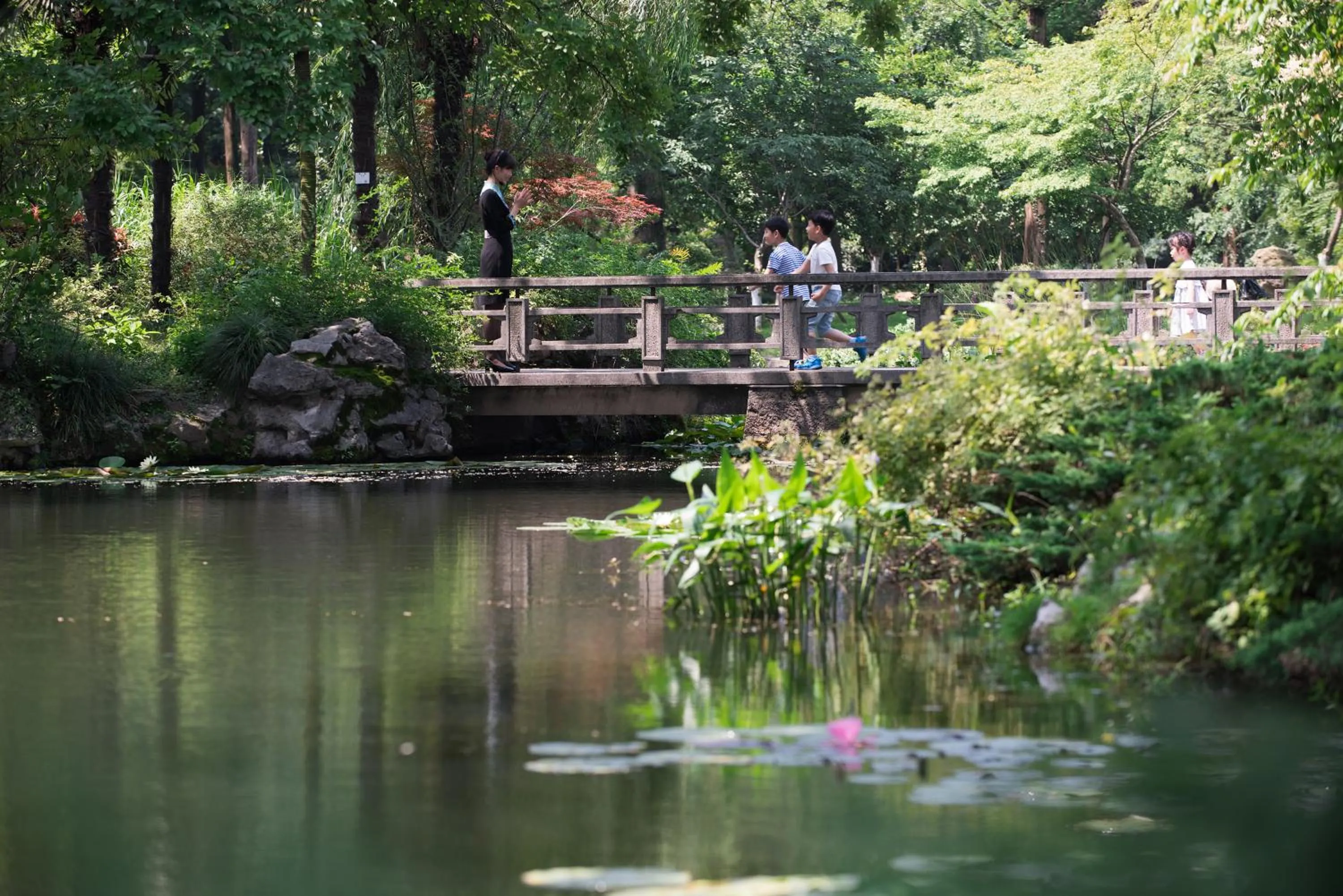 Garden in Zhejiang Xizi Hotel