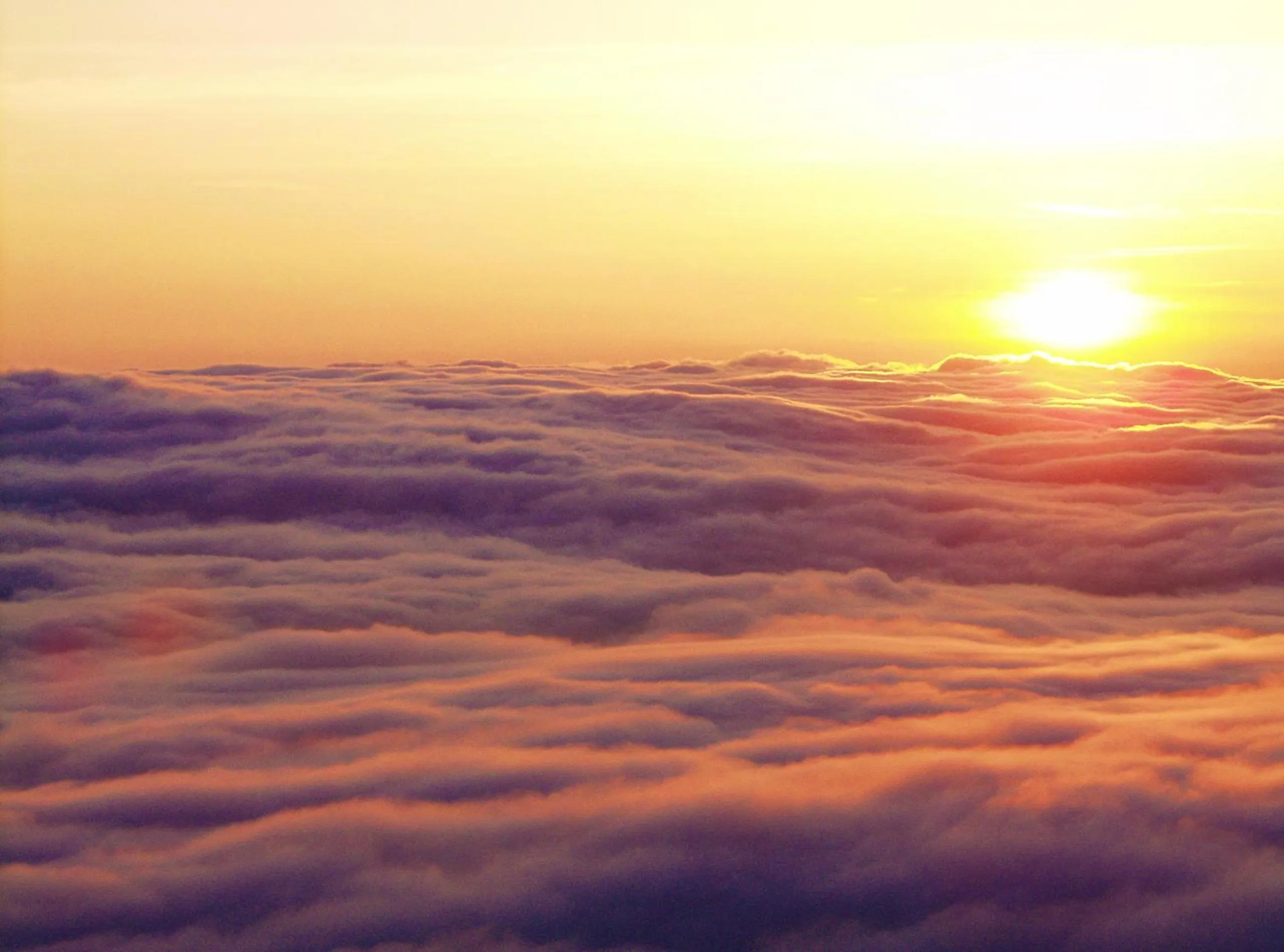 Natural landscape in Vignette Collection The Windsor Hotel TOYA by IHG