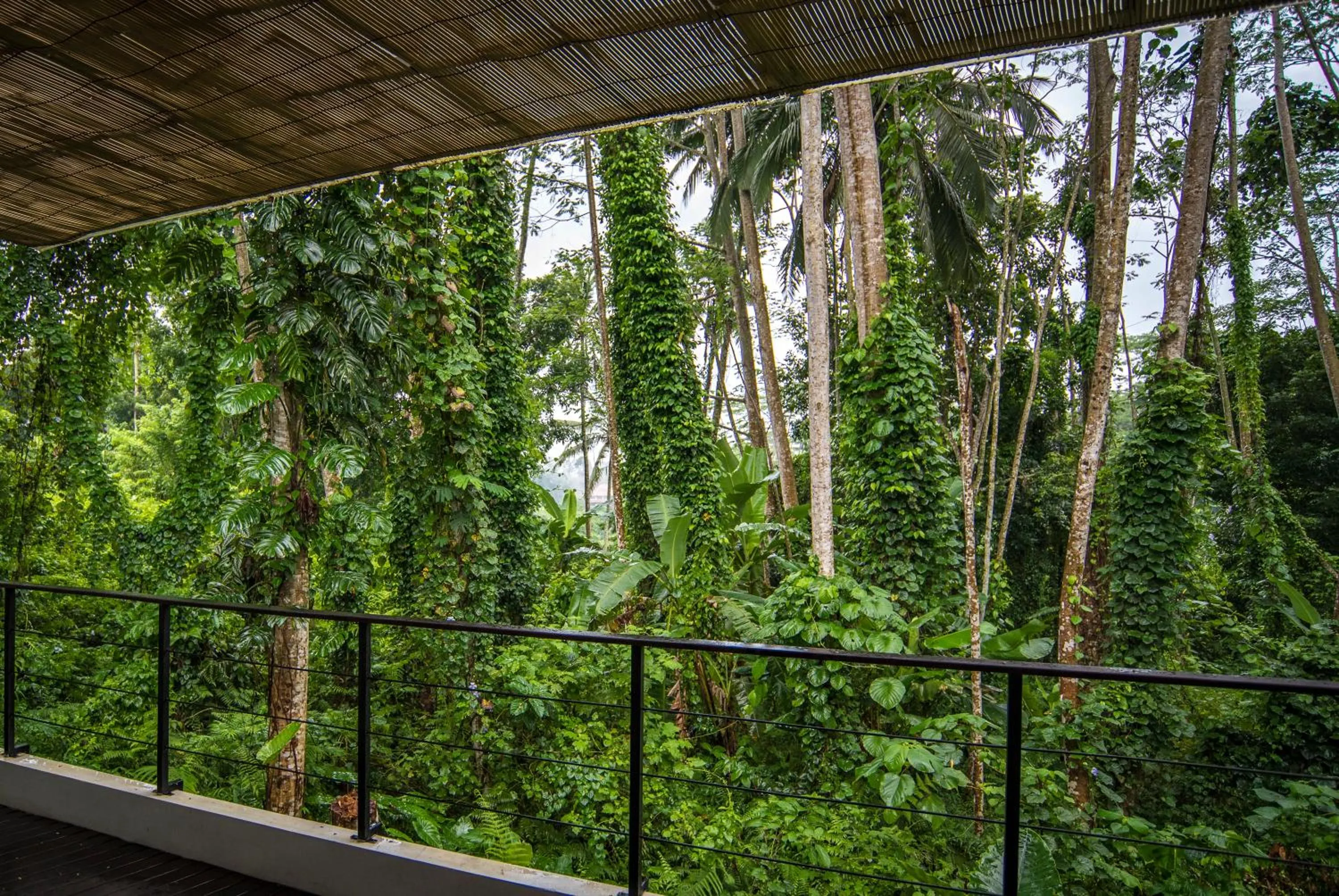 Balcony/Terrace in Ayurvedagram Bali